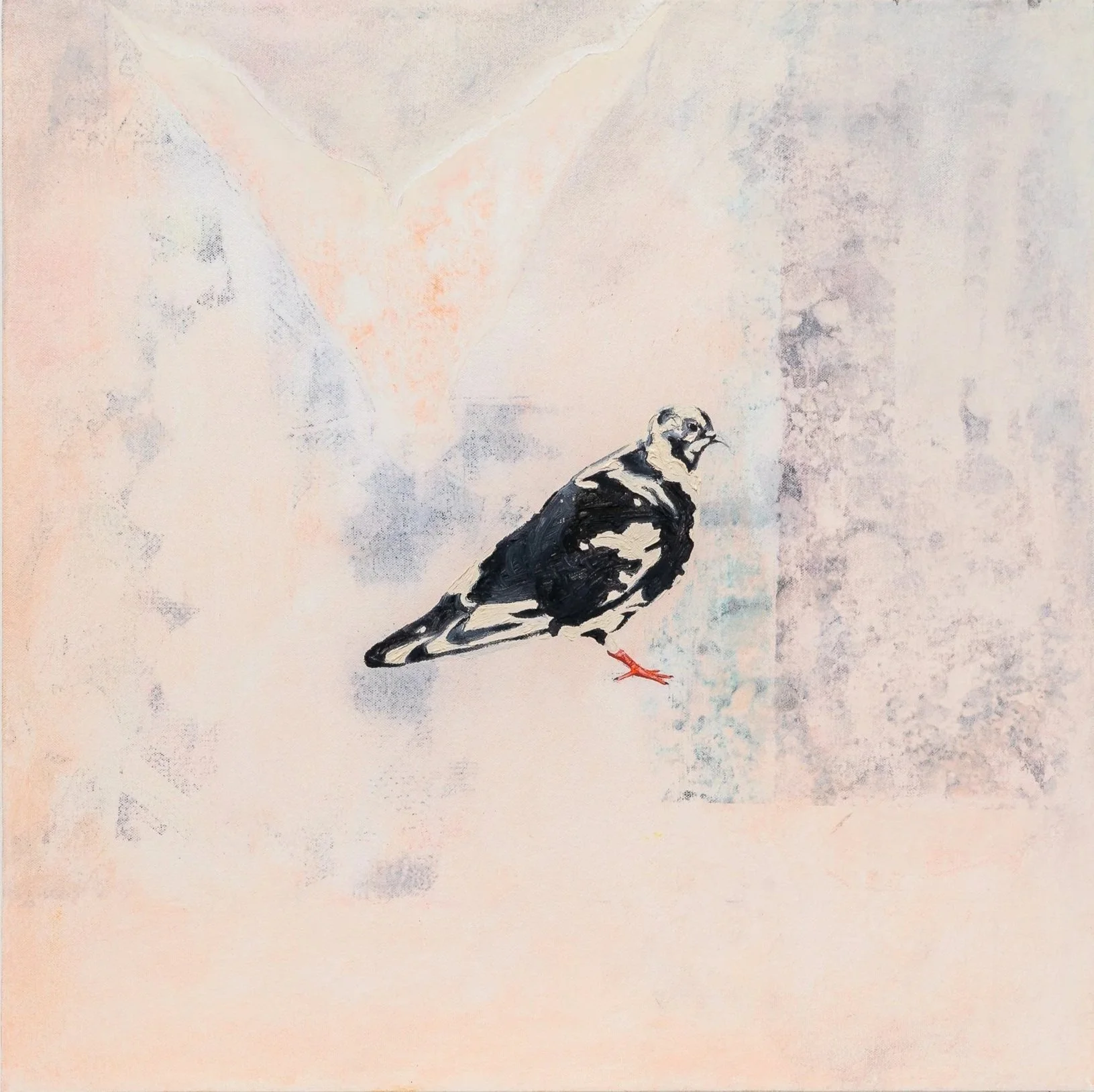 Pigeon, oil on canvas, 20 x 20 in, 2019