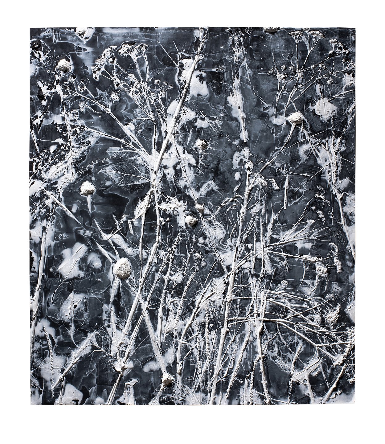 Garden (snow)  copy.jpg