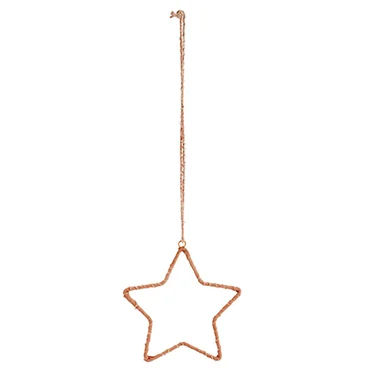star med.jpg