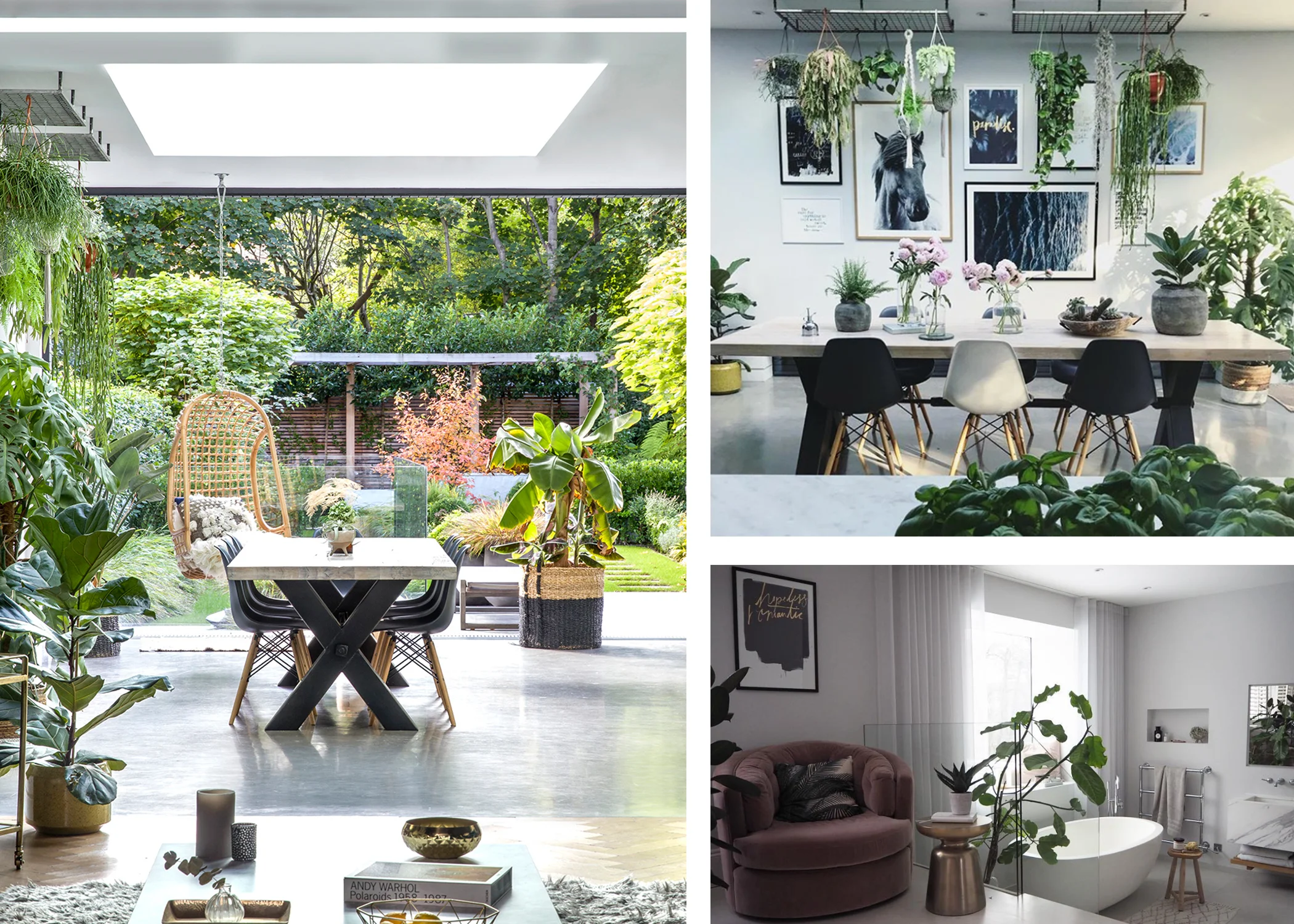 House Curious (Photography by Rei Moon and Sommer Pyne
