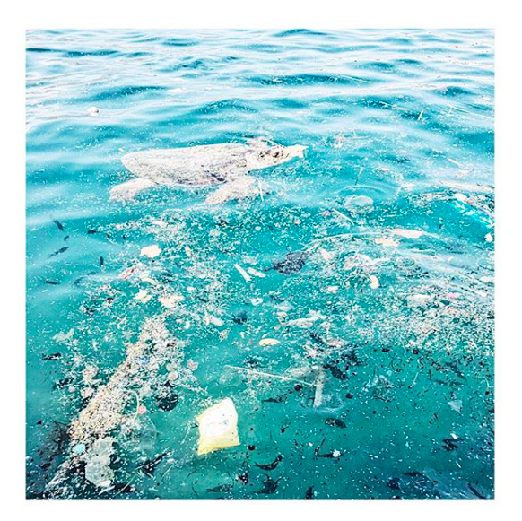 Turtles in Kastellorizo swimming through rubbish and microplastics. We regularly get nets to clean the harbour but are ridiculed by locals who refuse to do the same.