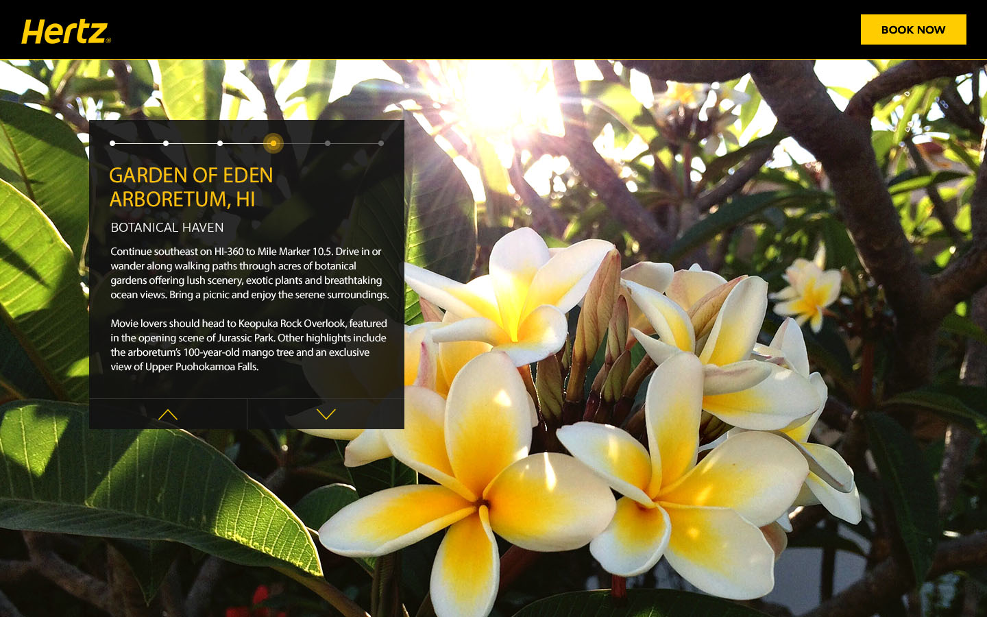 04-Garden of Eden Arboretum, HI.jpg