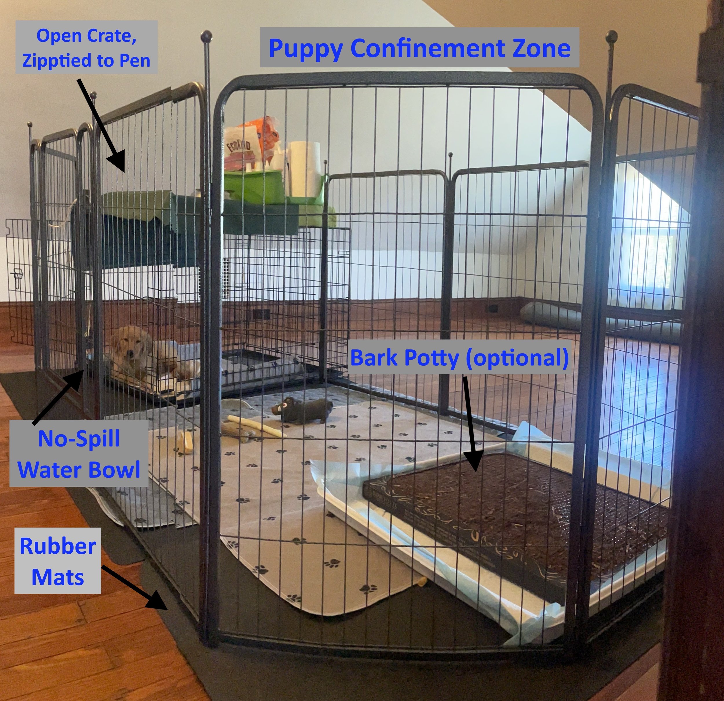  Protect Your Dog (&amp; Your Stuff) At Home