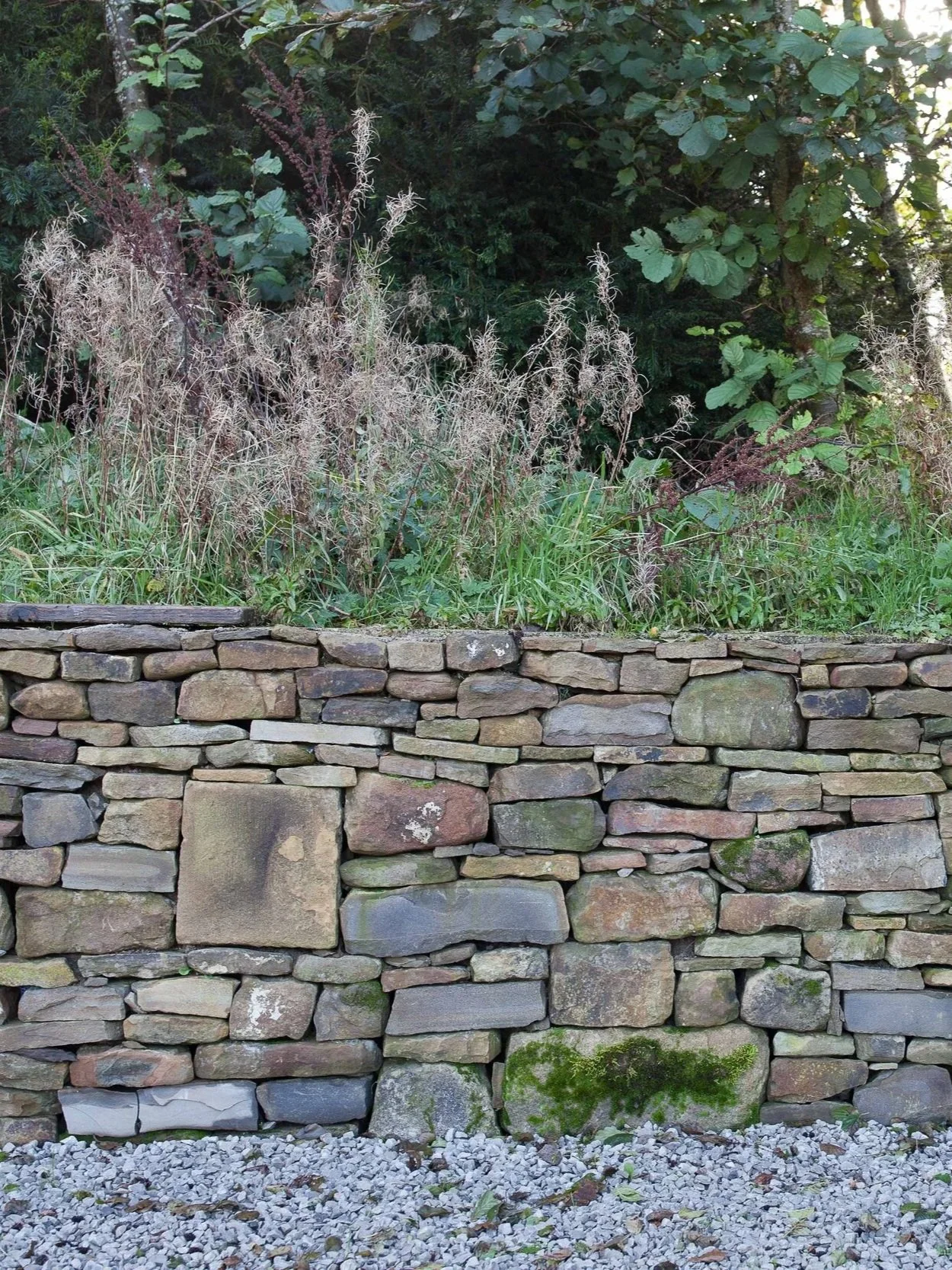 SJW-architects-edale-archaeologists-barn-stone-wall.jpg