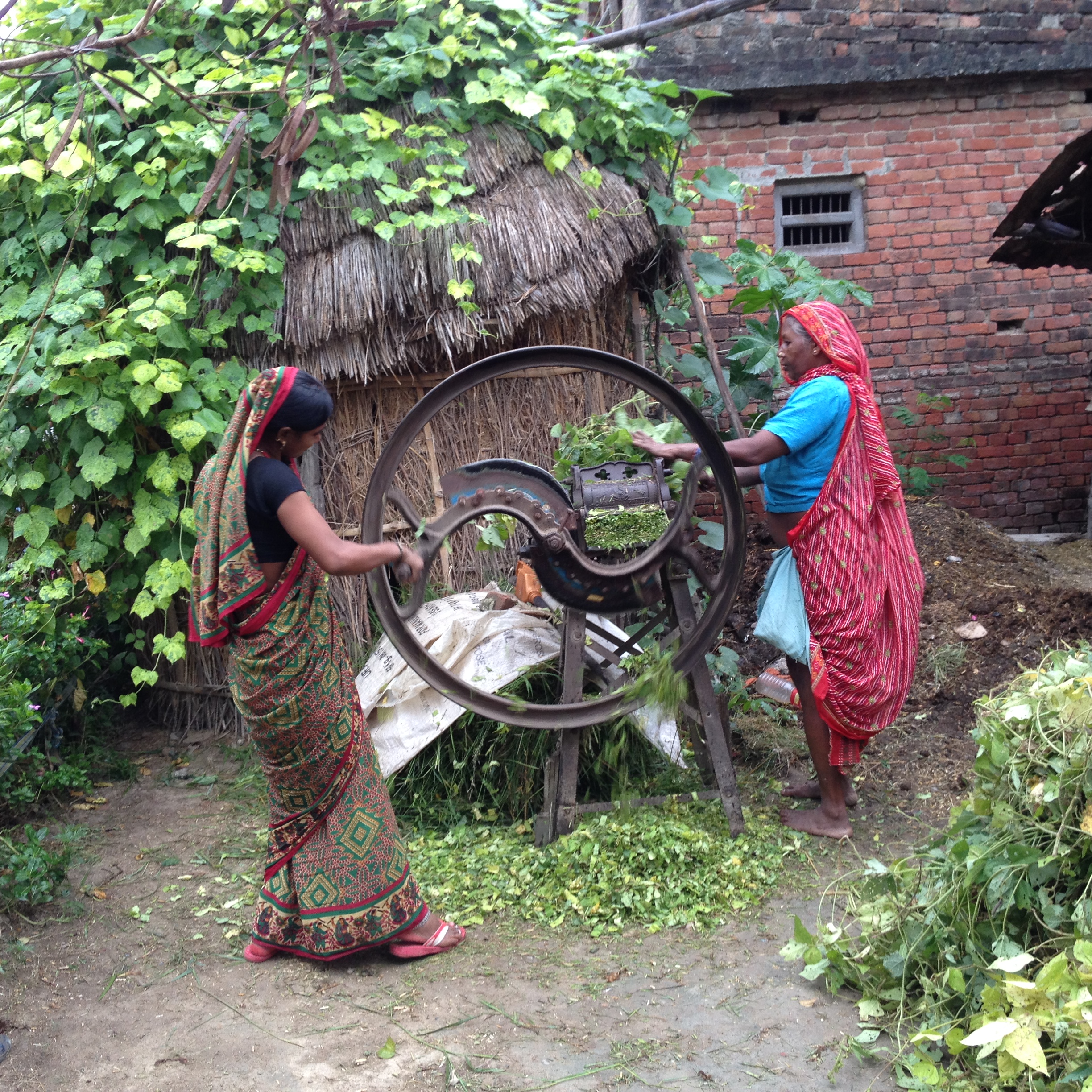 Ancient arts of village life Lumbini.JPG