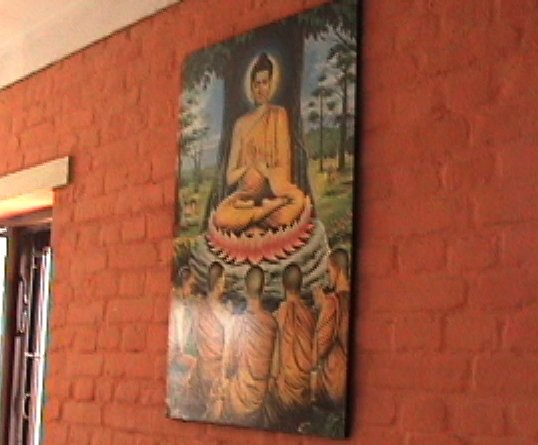 buddha in hostel kitchen.JPEG