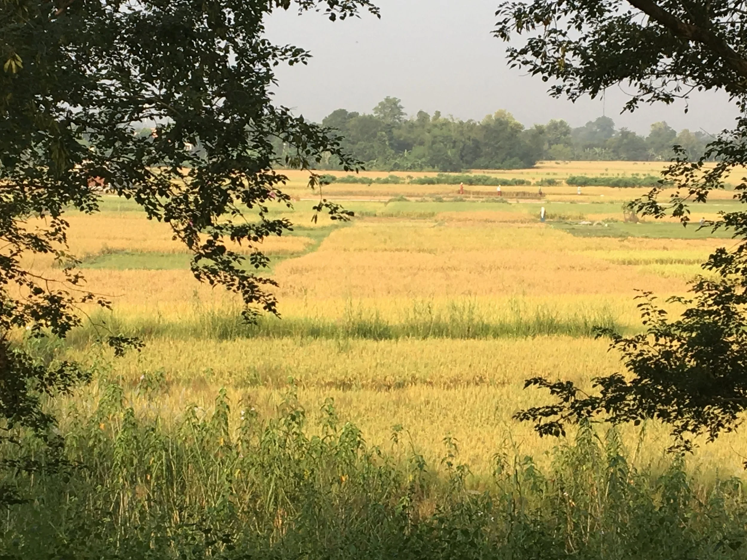 IMG_4829.jpg