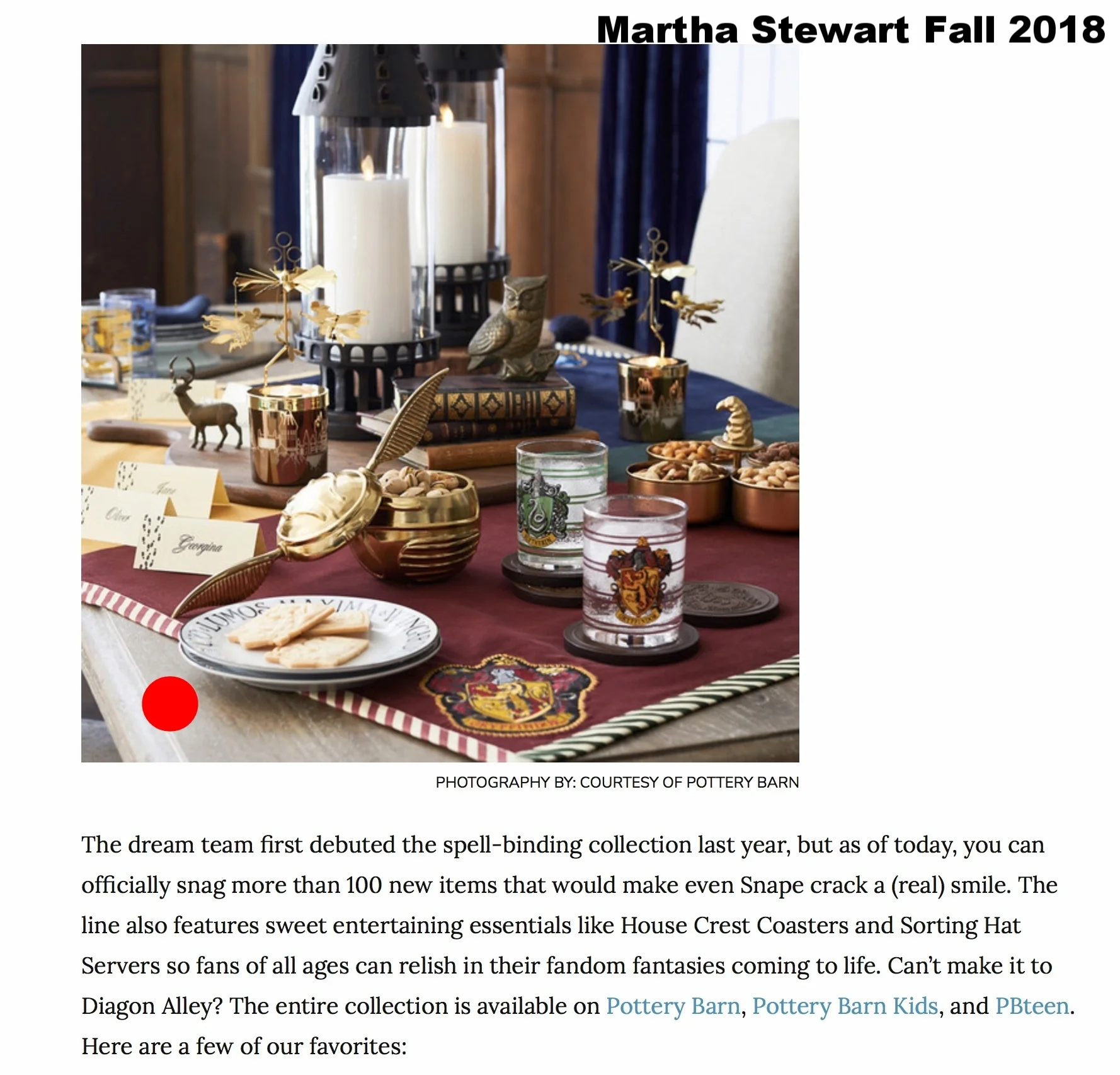 Martha Stewart 1.jpeg