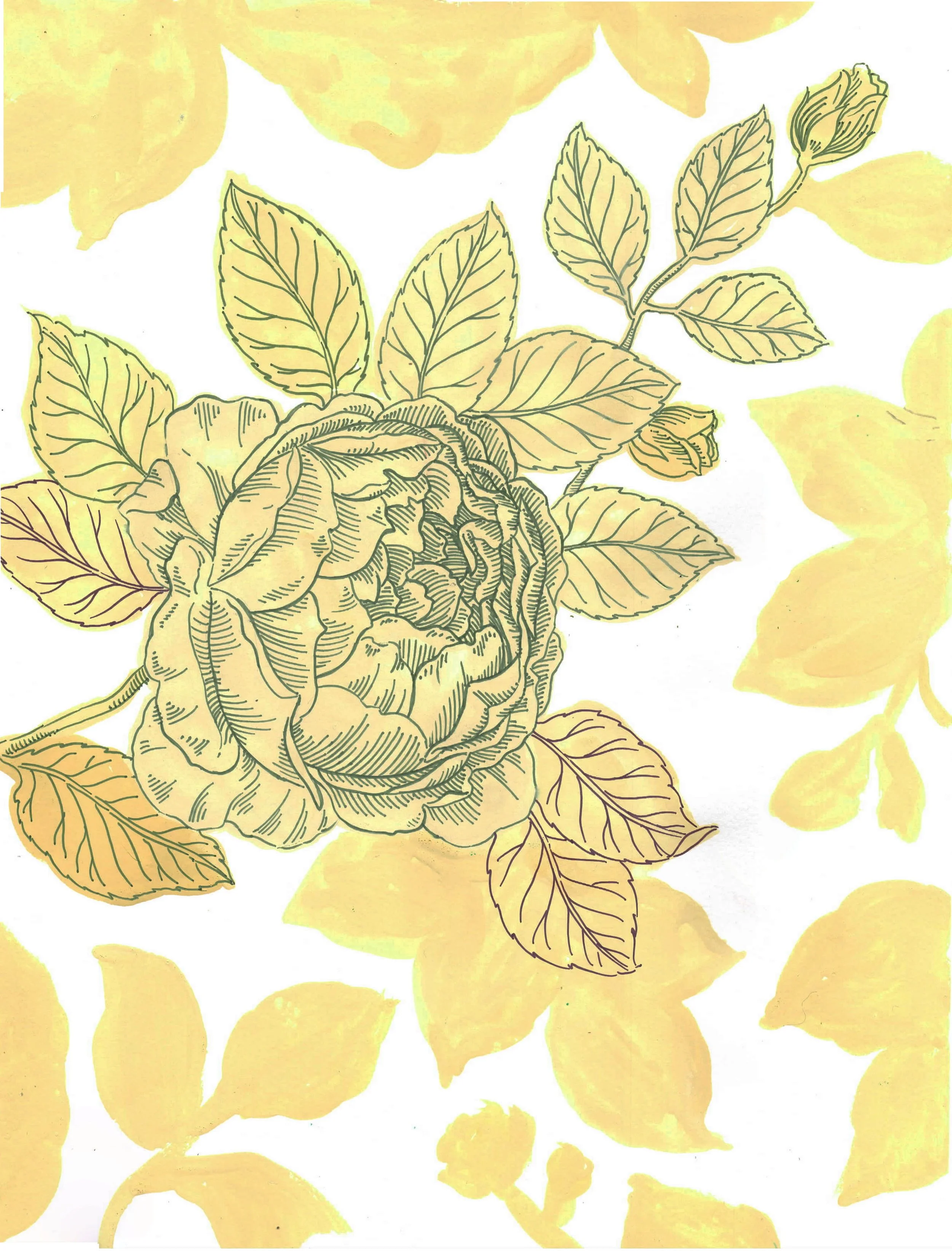 peony 1.jpg