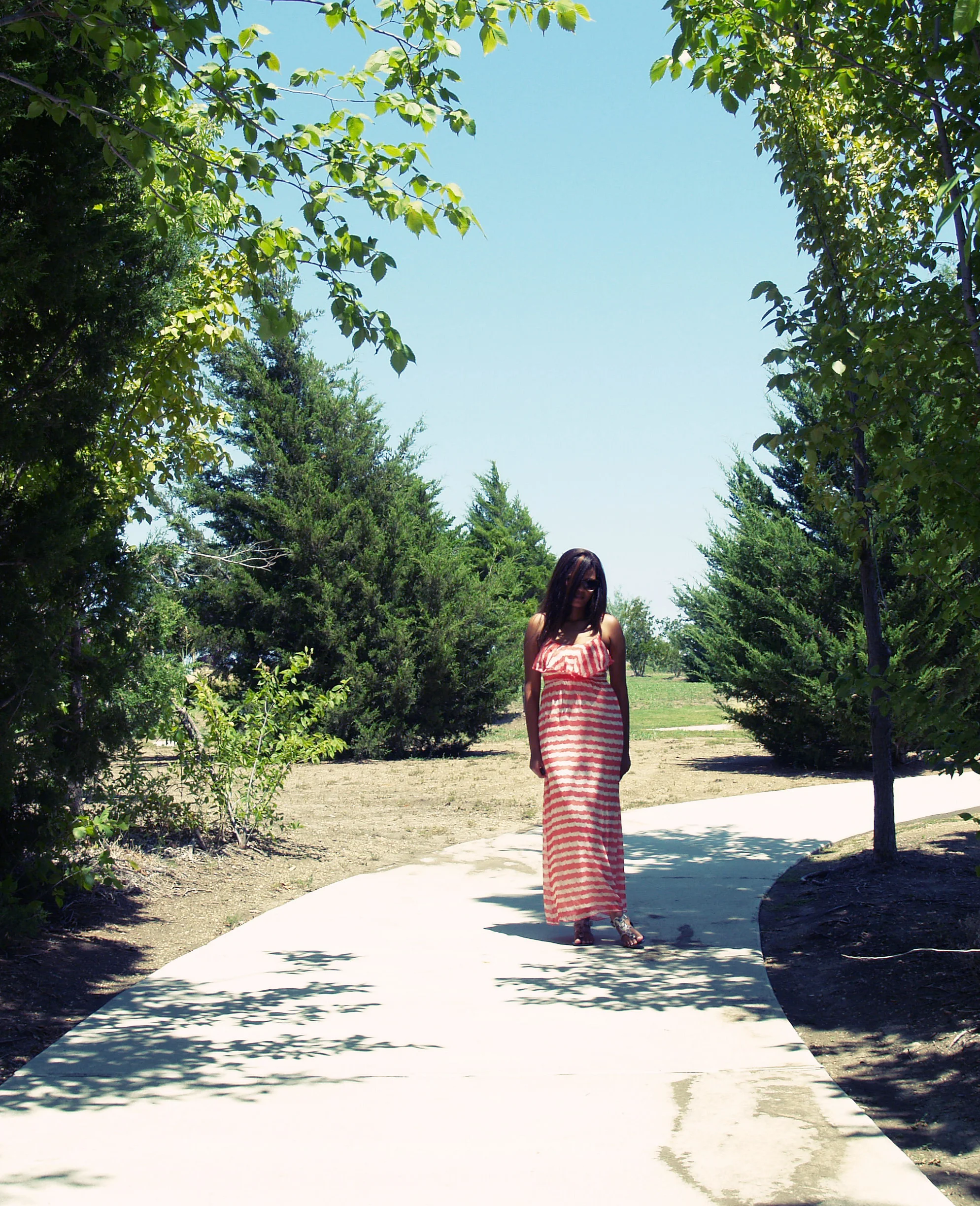 sunny-Day-3.jpg