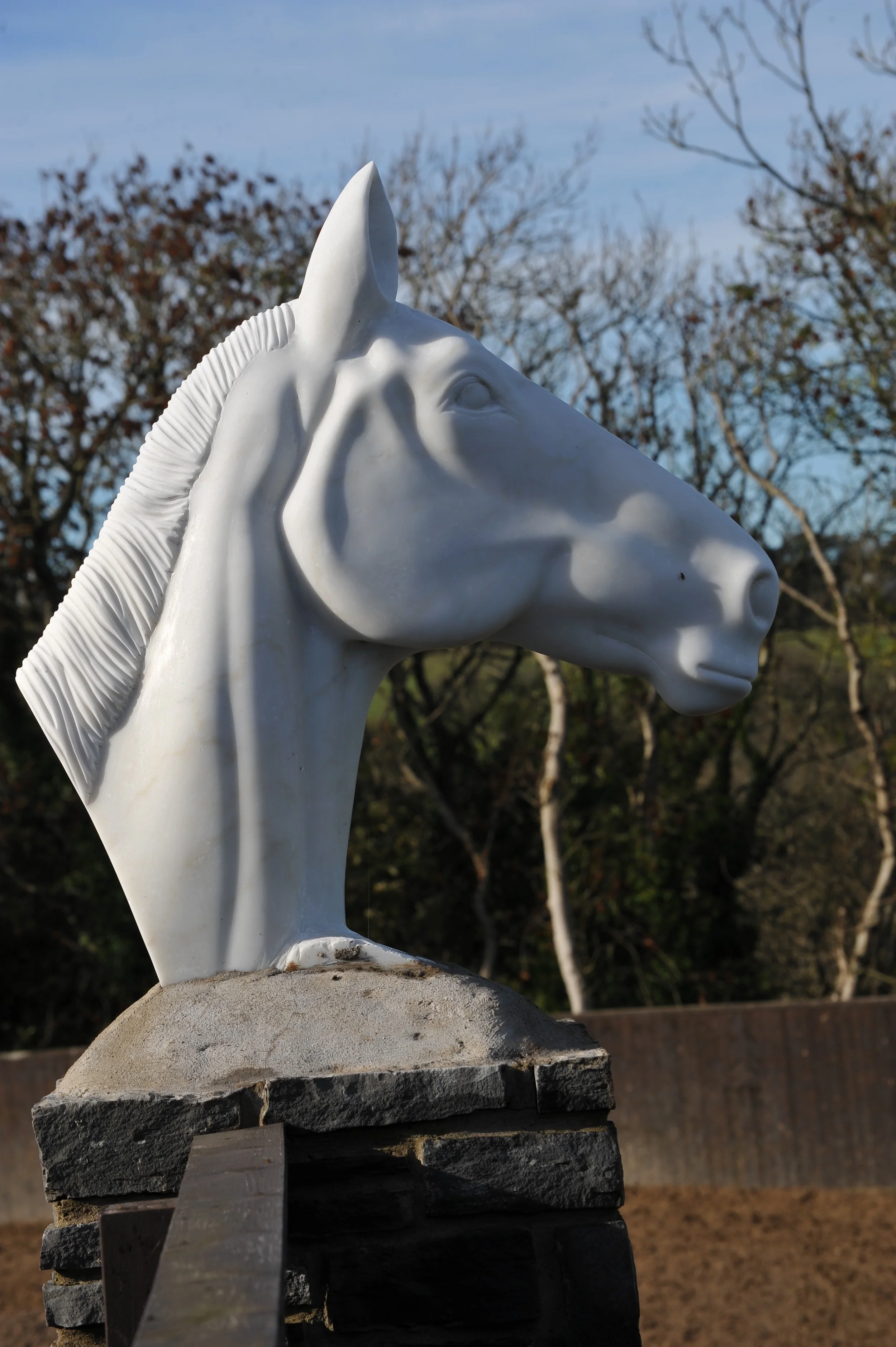 DSC_1912.jpg
