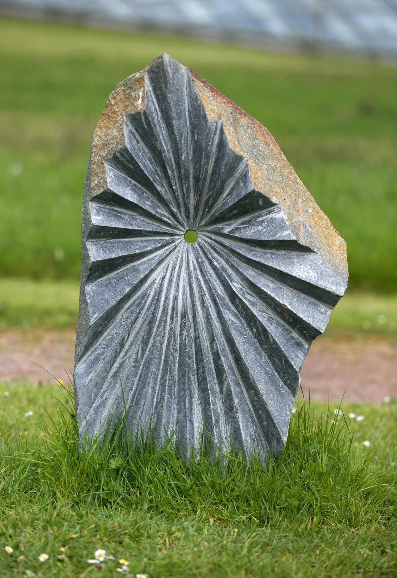 DSC_2181.jpg
