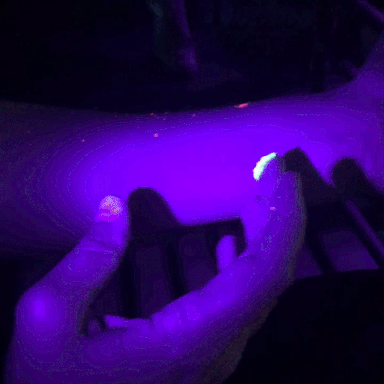 giphy-downsized-large (1).gif