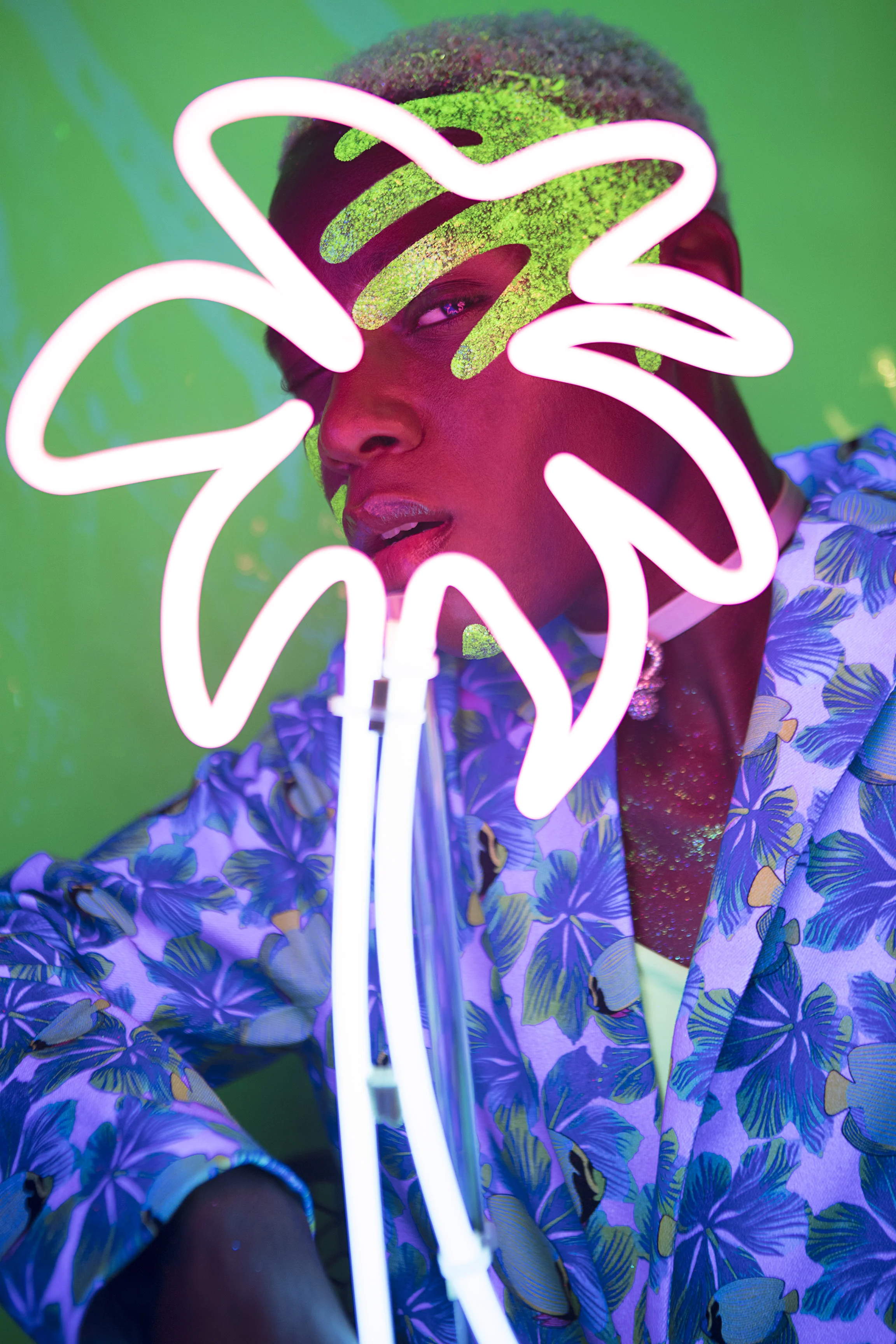 PALMS2.jpg