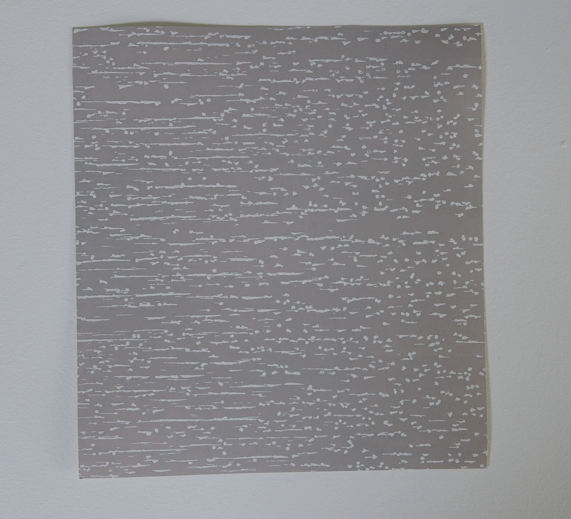 Data 25x 25cm.jpg