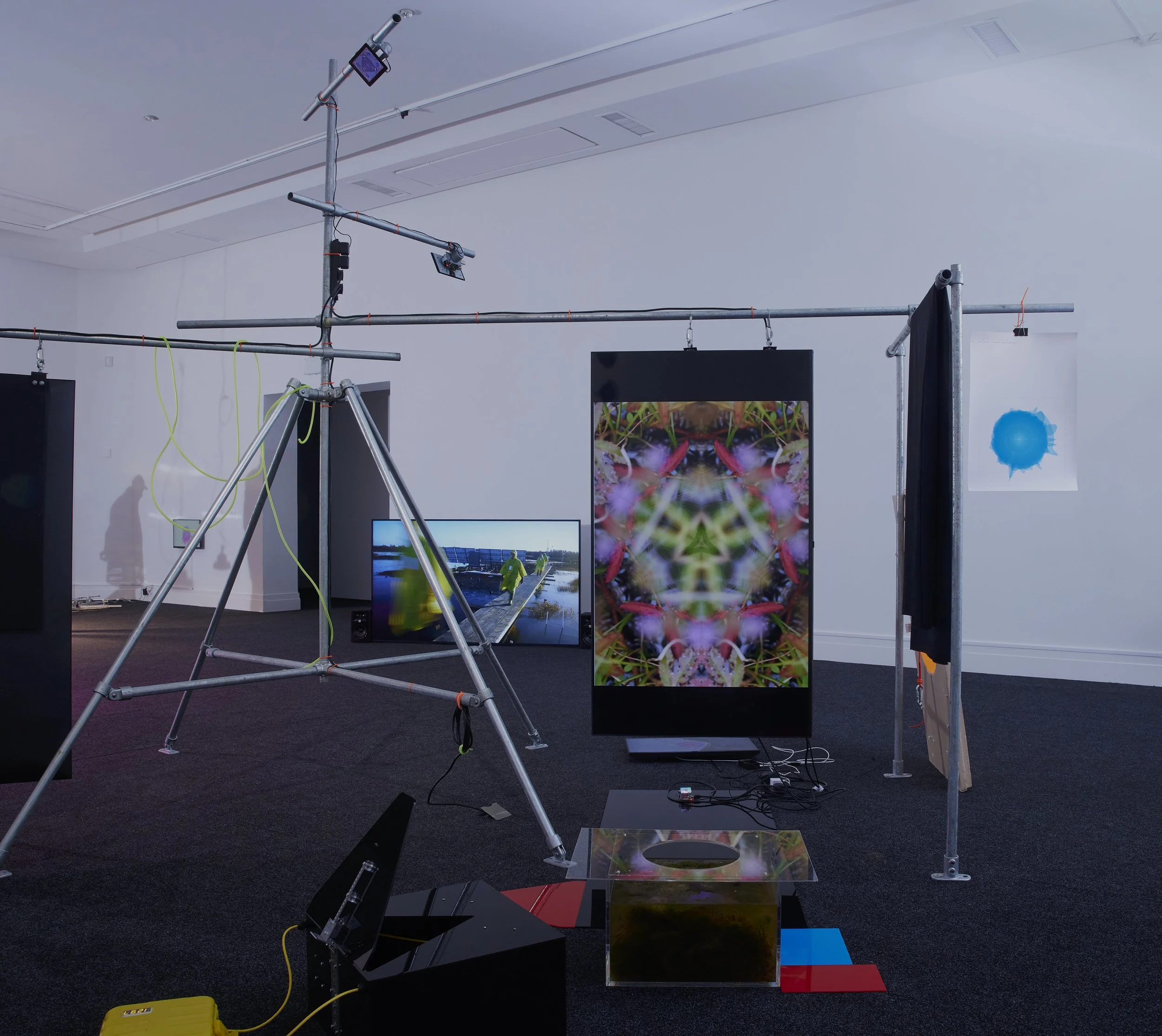 Fiona McDonald Shot 23-04.jpg