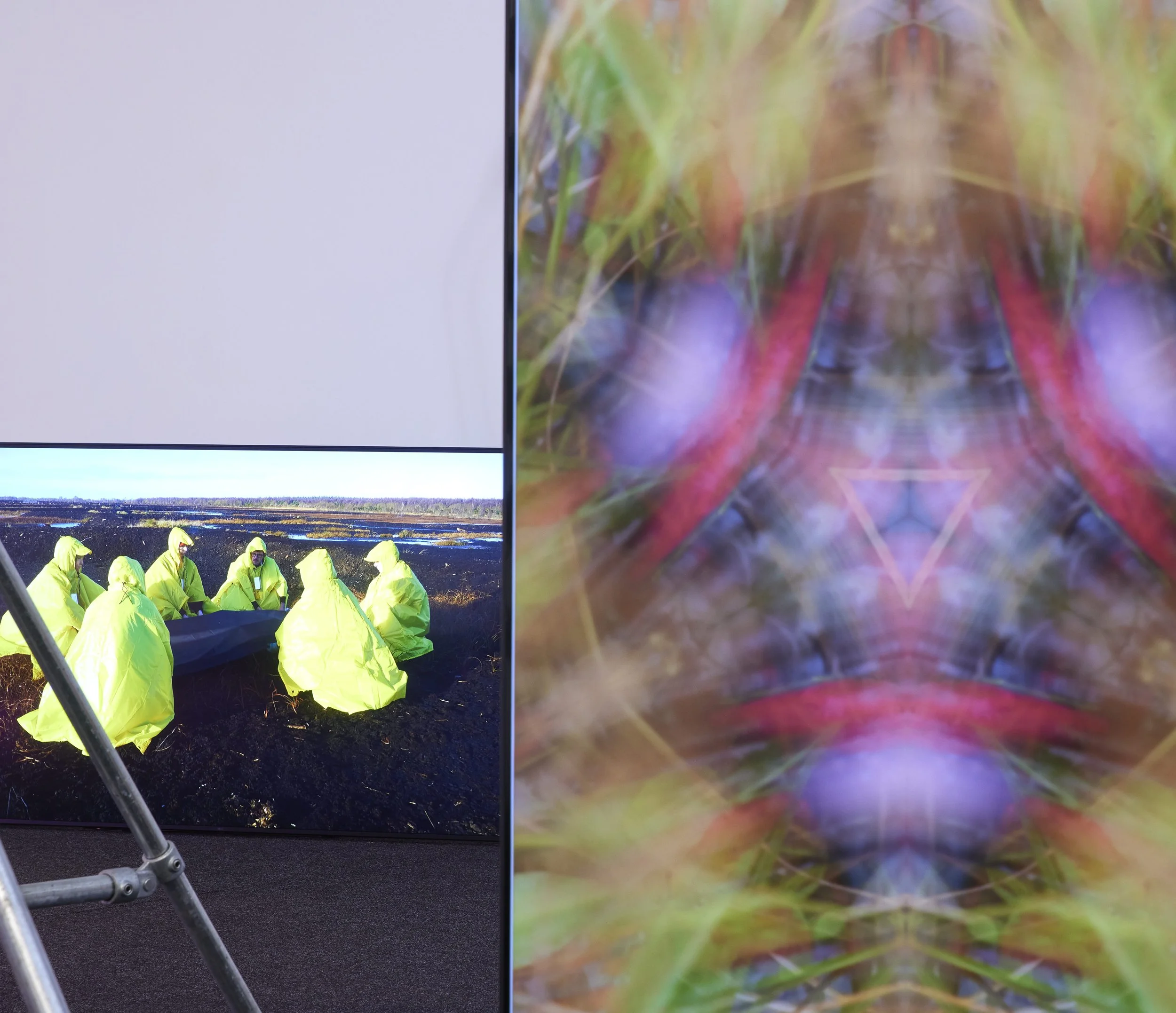 Fiona McDonald Shot 24-07.jpg