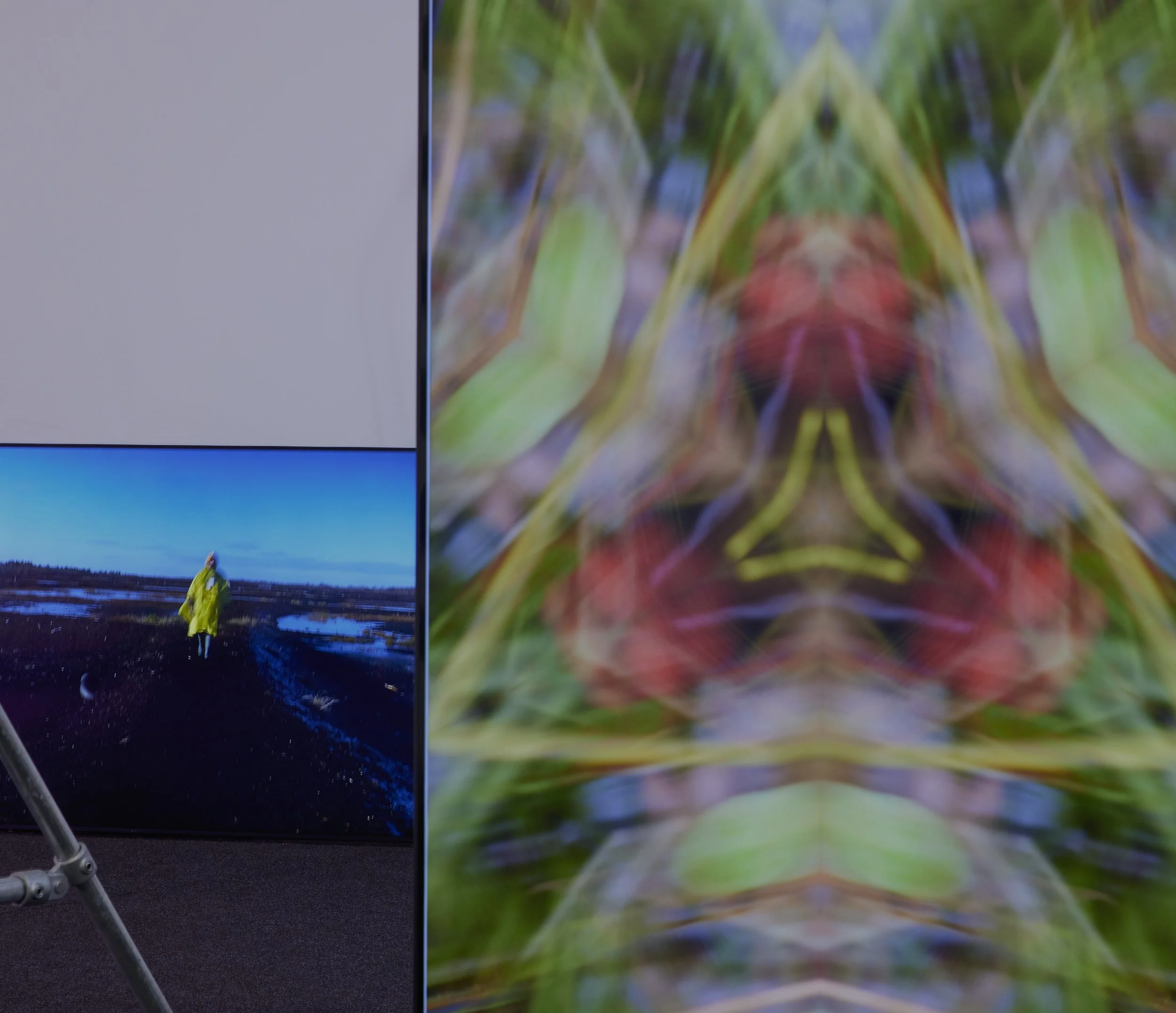 Fiona McDonald Shot 24-01.jpg