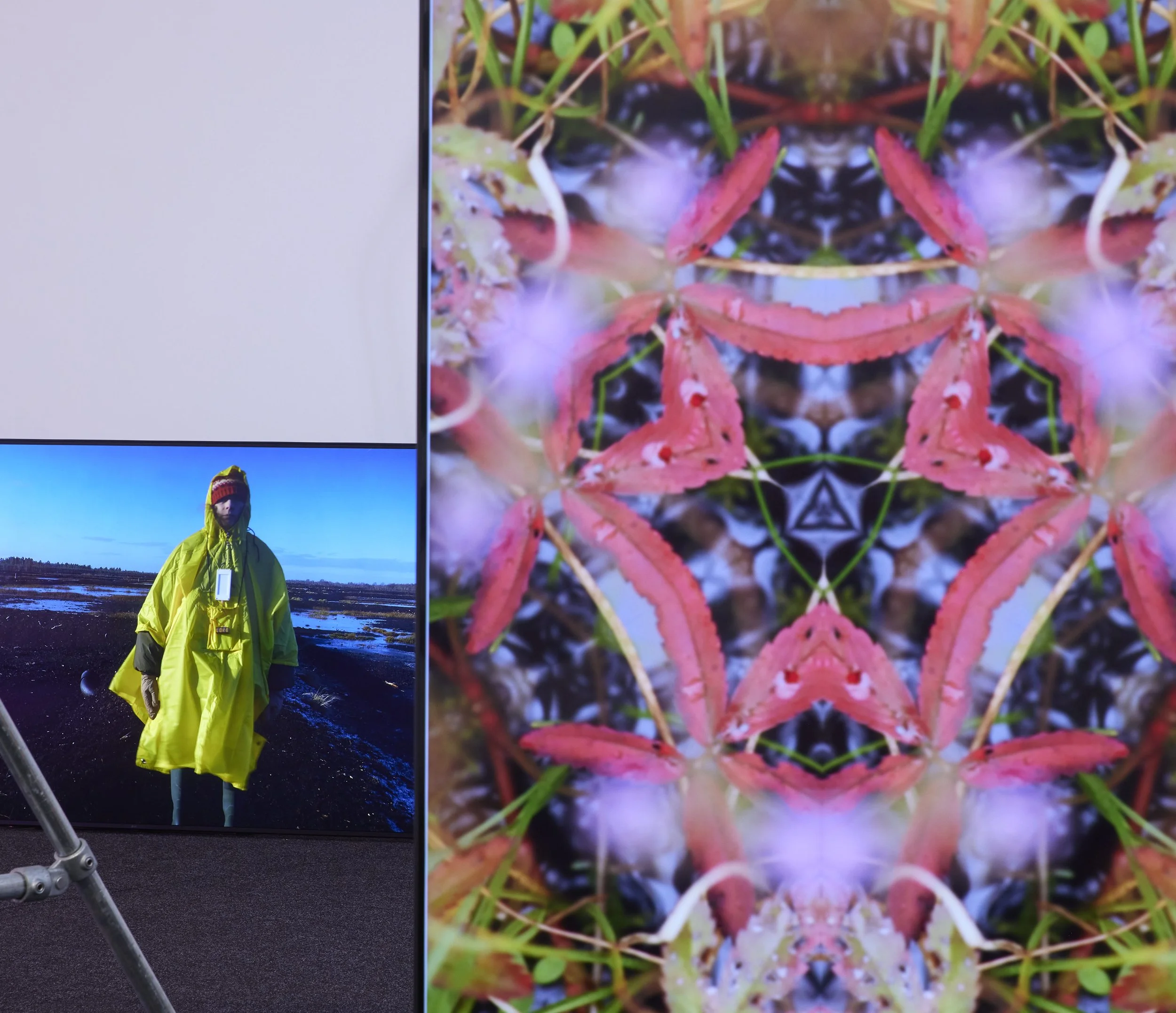 Fiona McDonald Shot 24-02.jpg