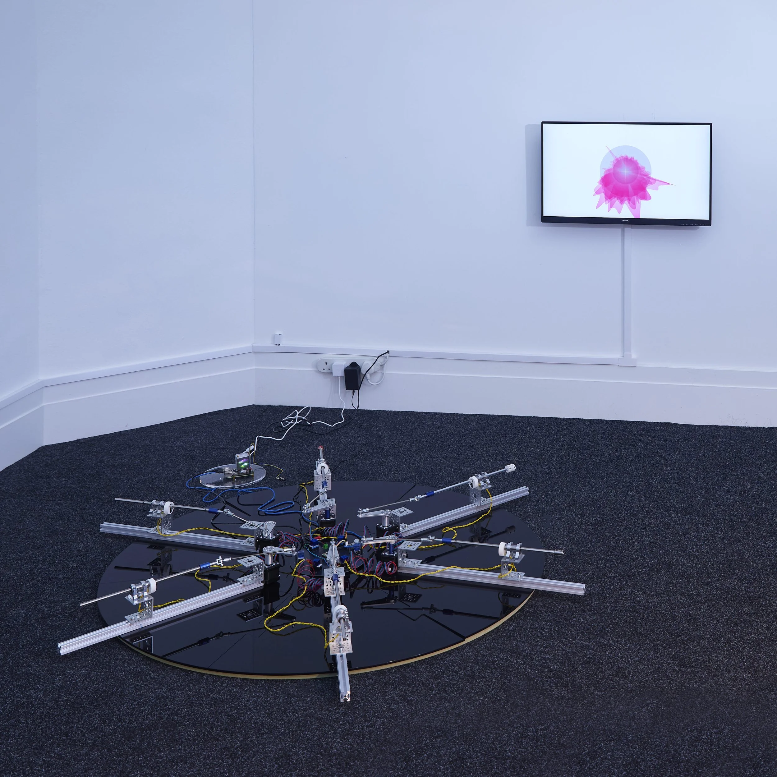 Fiona McDonald Shot 03-07.jpg