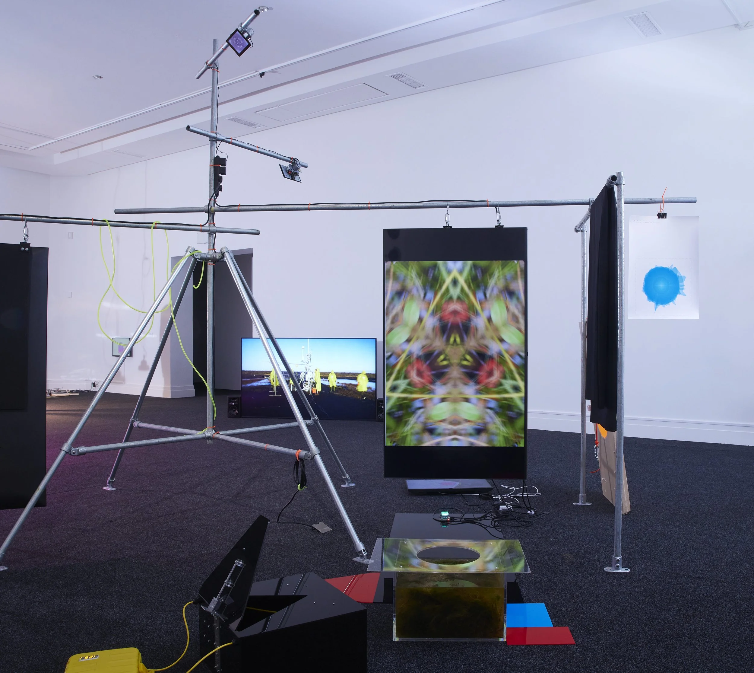 Fiona McDonald Shot 23-01.jpg