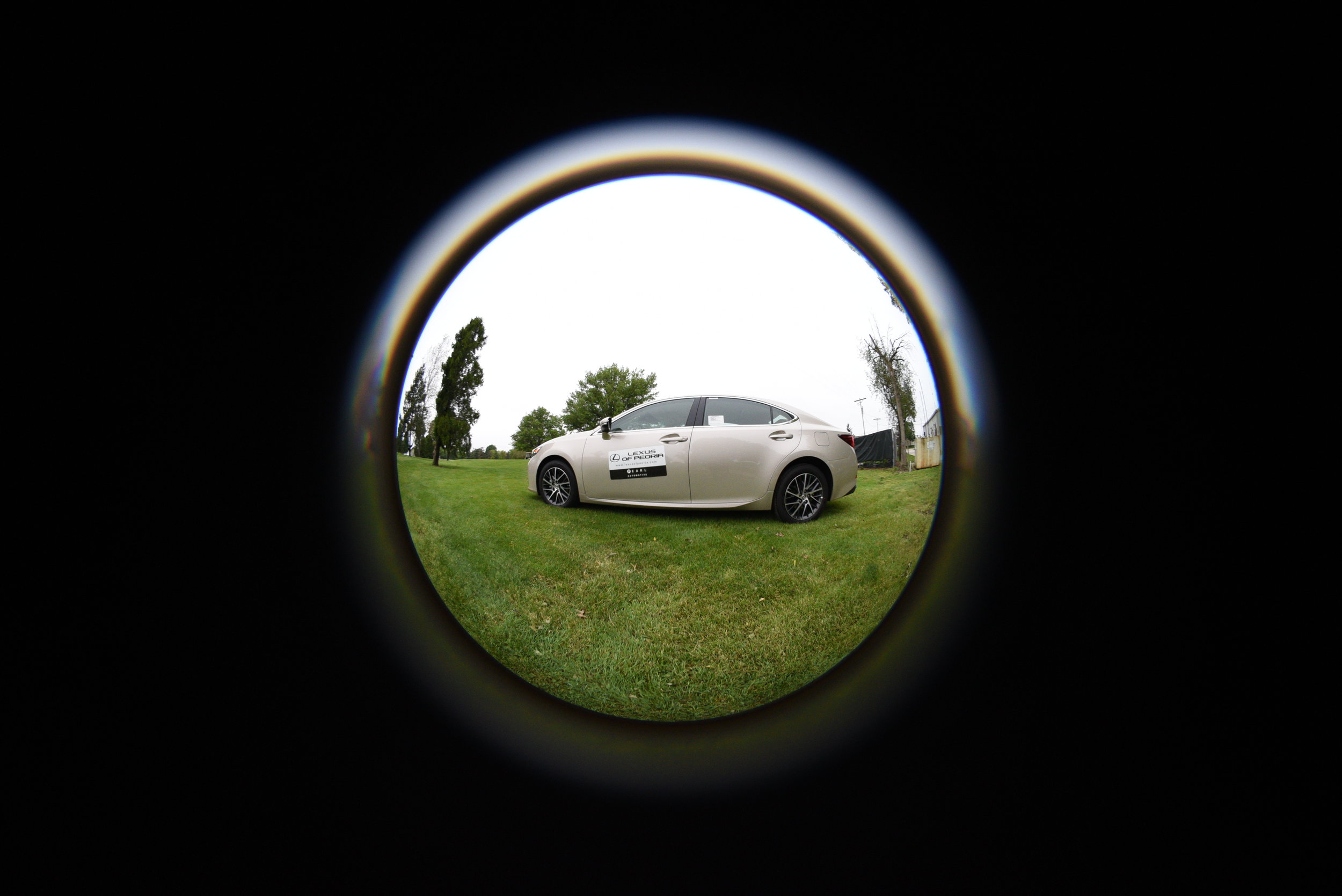 DSC_3174.jpg