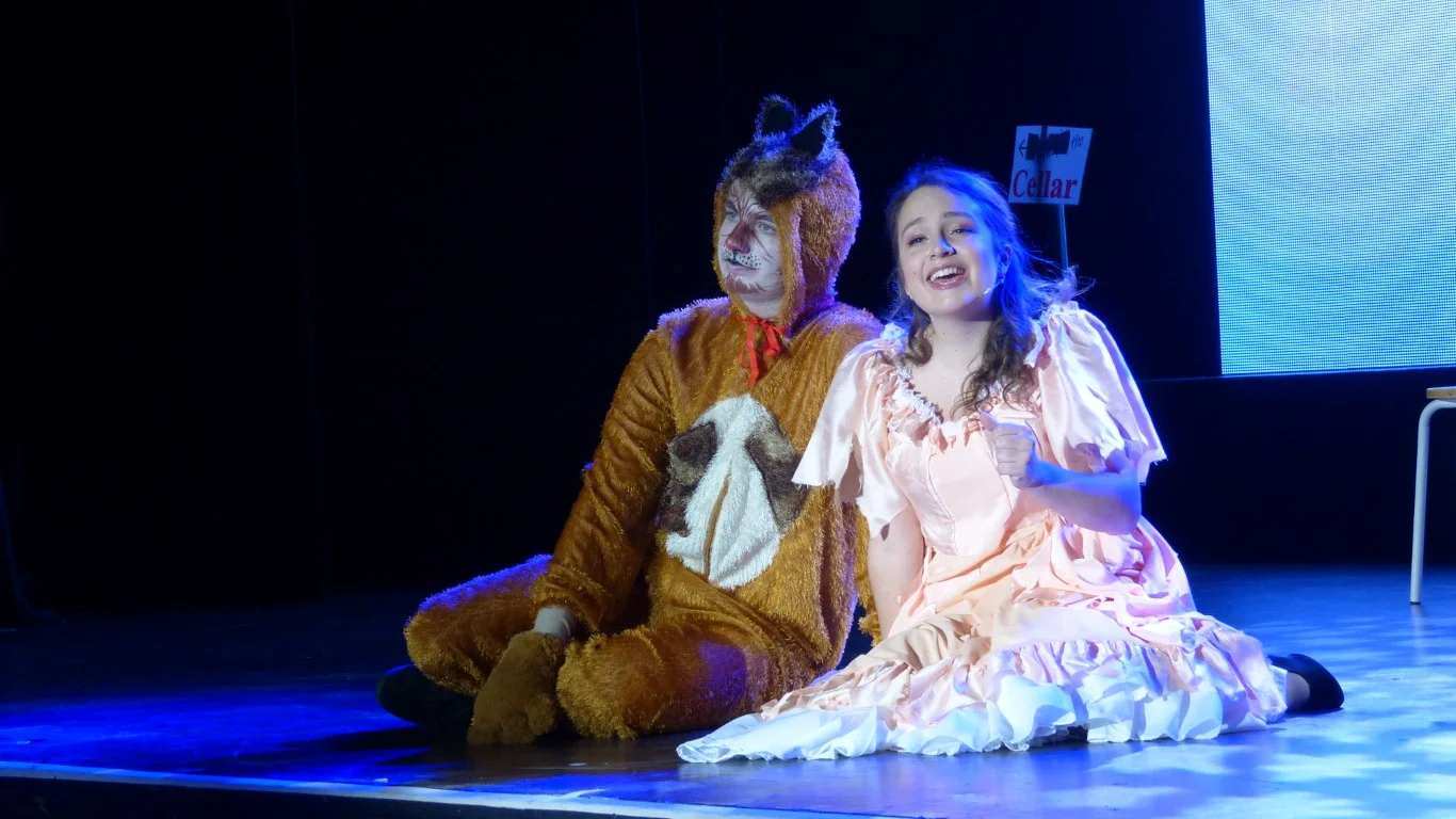 phoenix-youth-theatre-cinderella-2018-cinderella-duet-with-cat-cellar.jpg