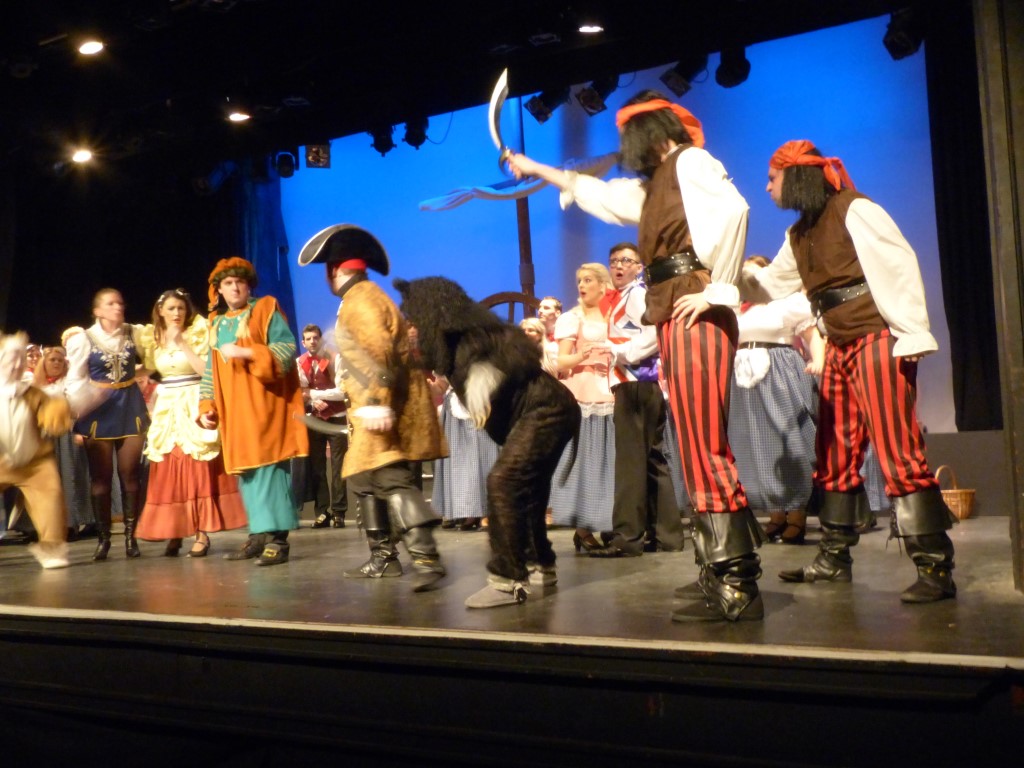 phoenix-theatre-2012-dick-whittington-pirates-on-deck-ensemble.jpg