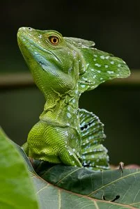 3x2 2386x3567-05100.jpg