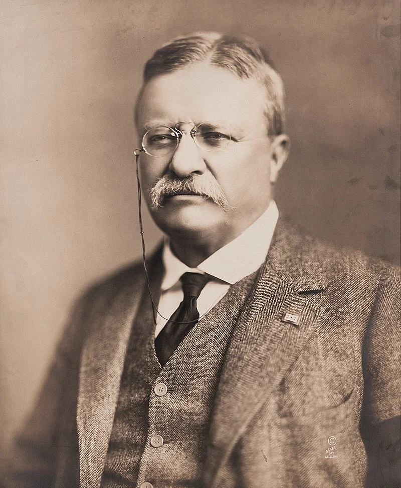President Theodore Roosevelt, 1918