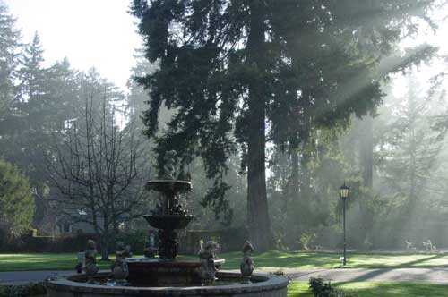  Here is the finished fountain, in the morning mist. 