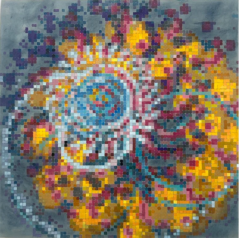 D-Circulate 2