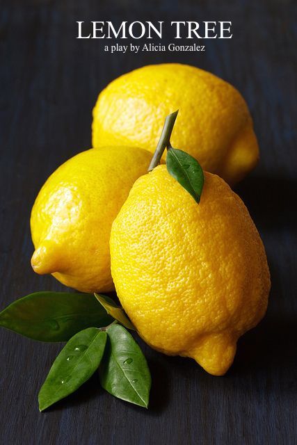 LemonTree_photo of lemons.jpg
