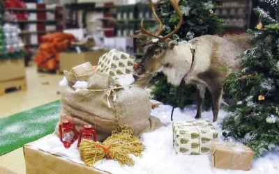 Coop_2011_Nordic_12.jpg