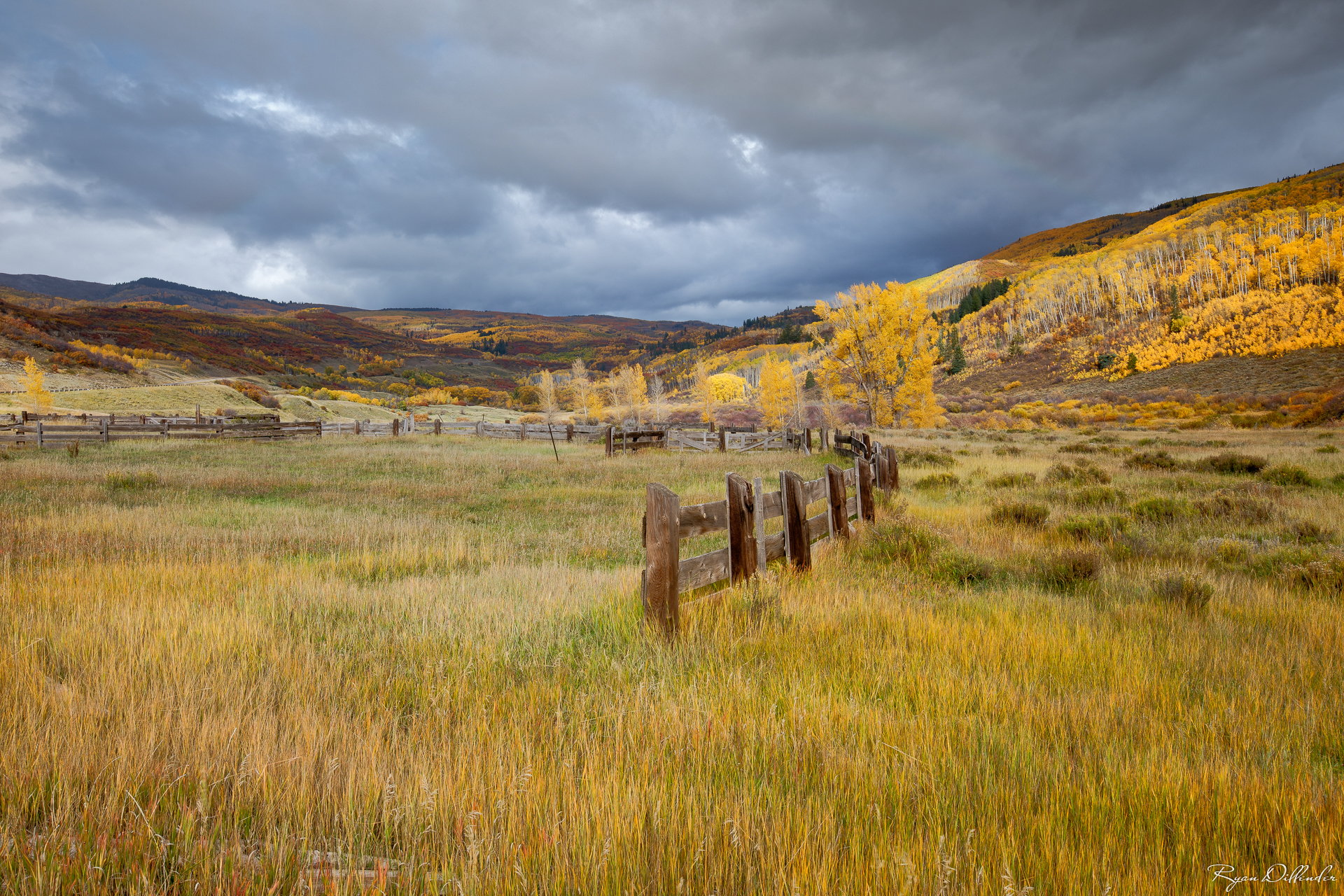 Hills of Gold.jpg