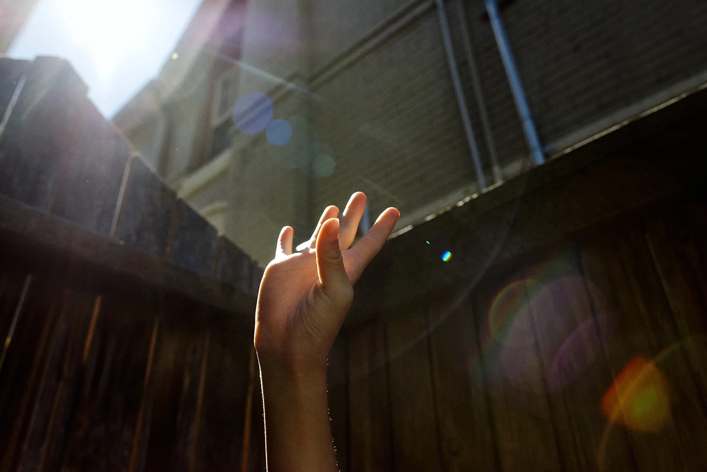colorado-child-photographer.jpg