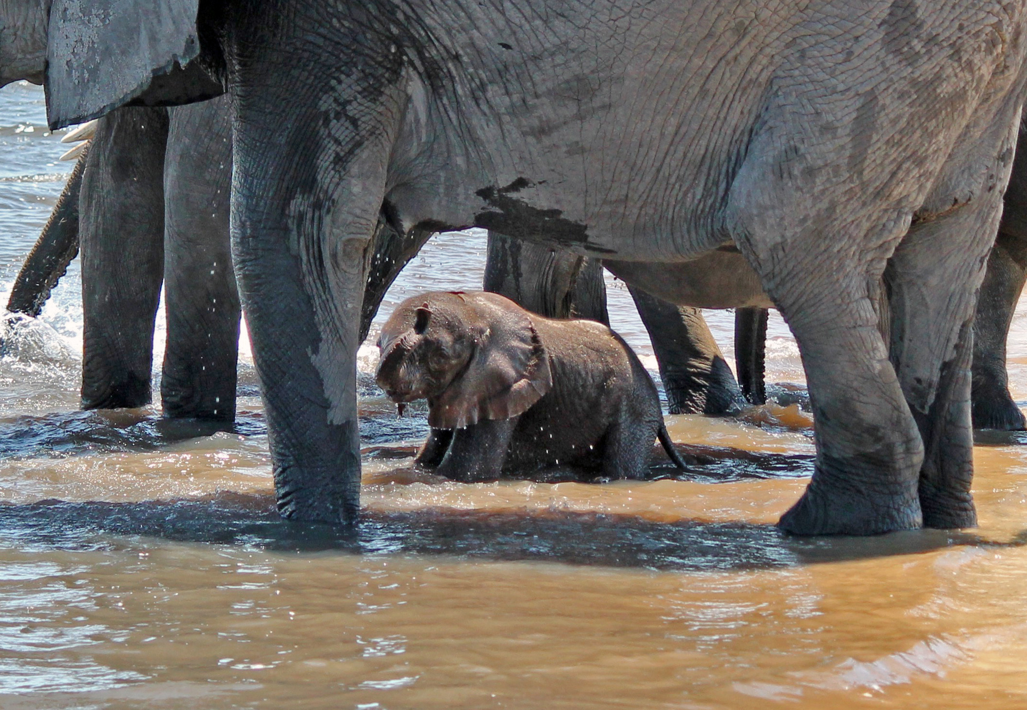  Cooling off in a well-protected environment 