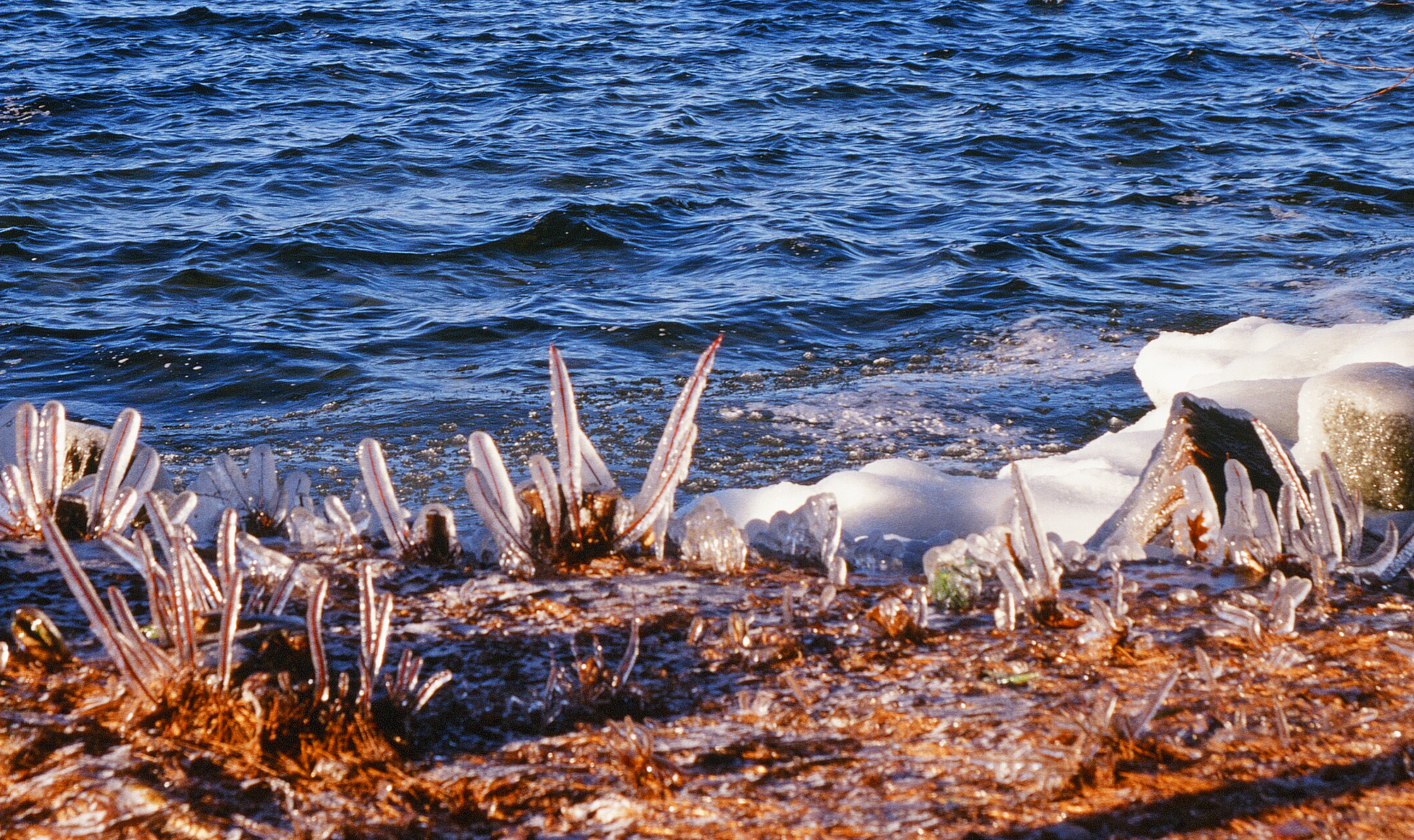  Ice stems 