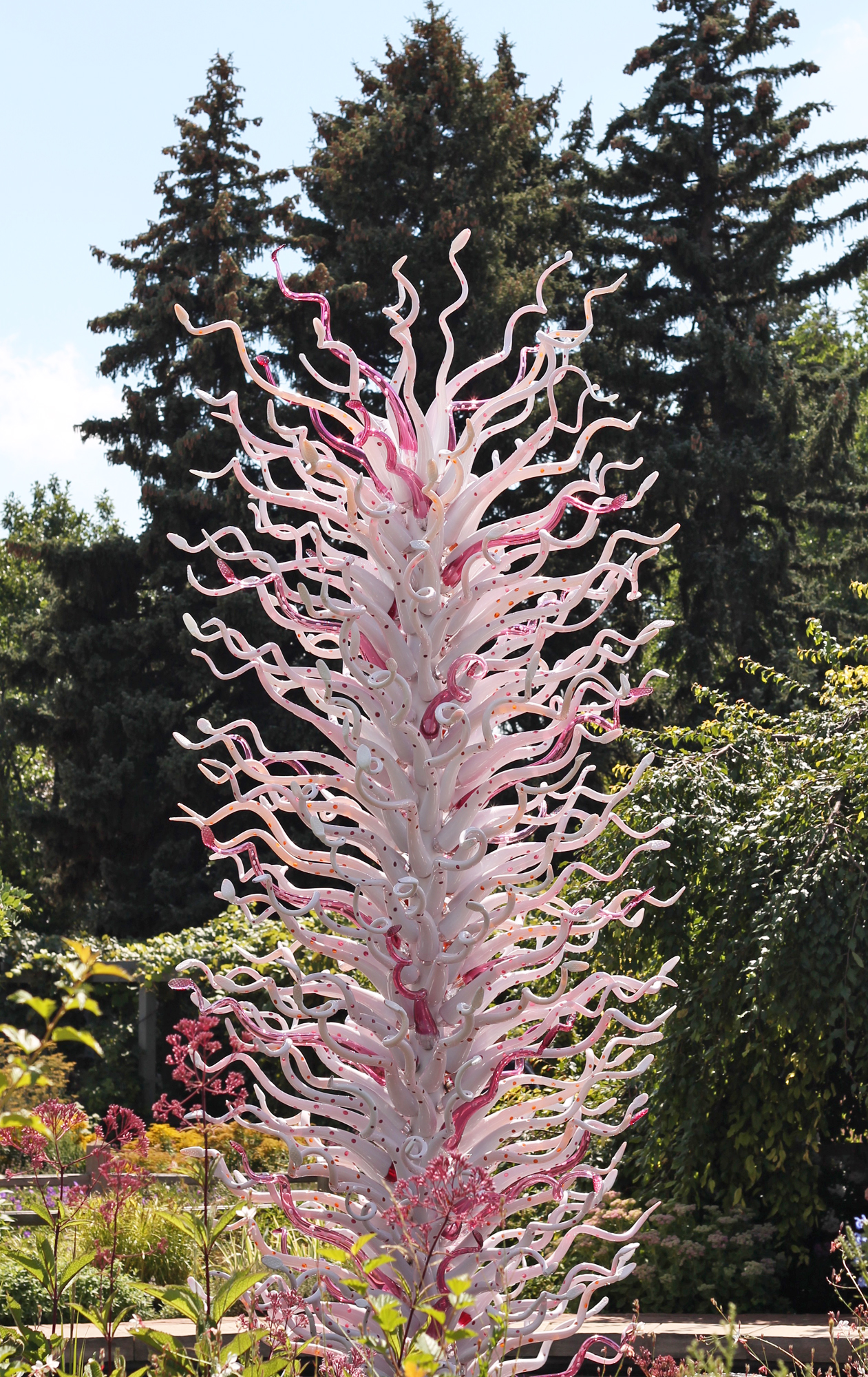  Pink pine by Chihuly 