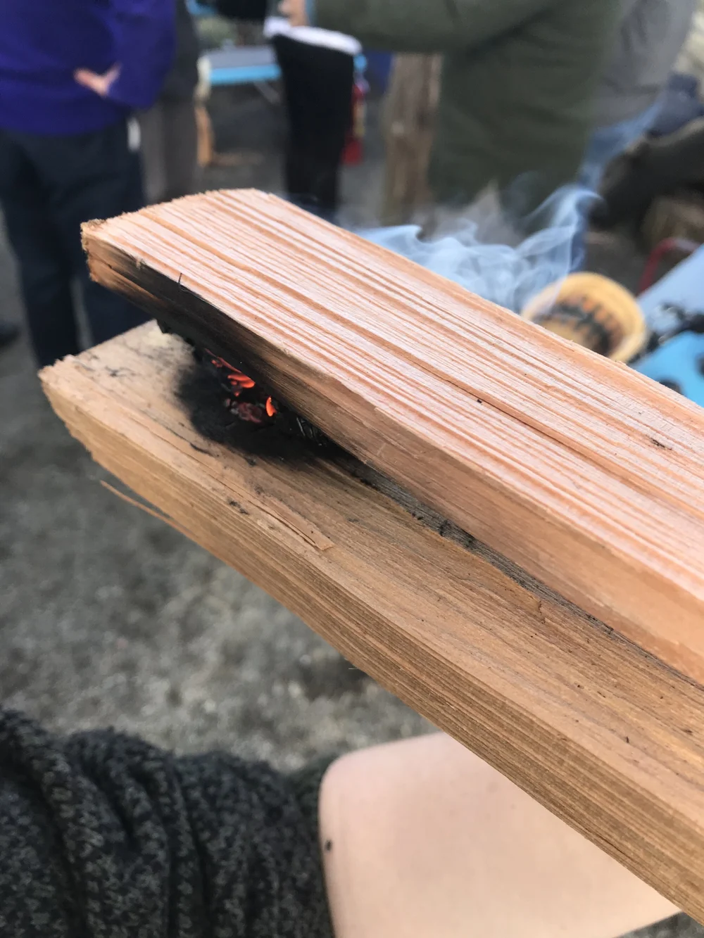 delicious wood-coal sandwich