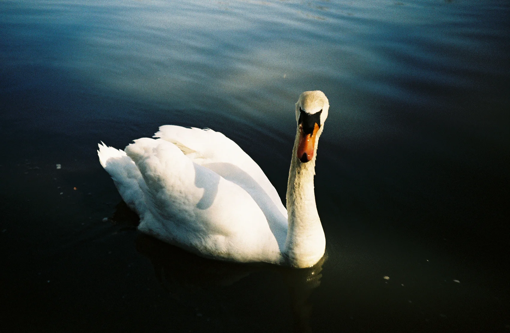 3487120136_f104be4109_o.jpg