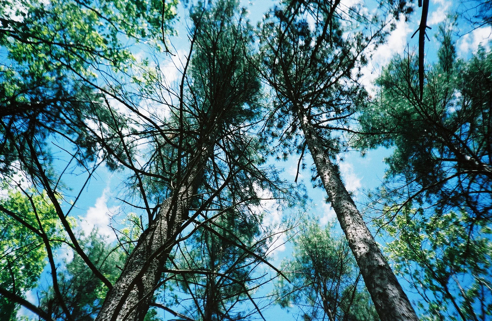 4627284592_d147068ee7_o.jpg