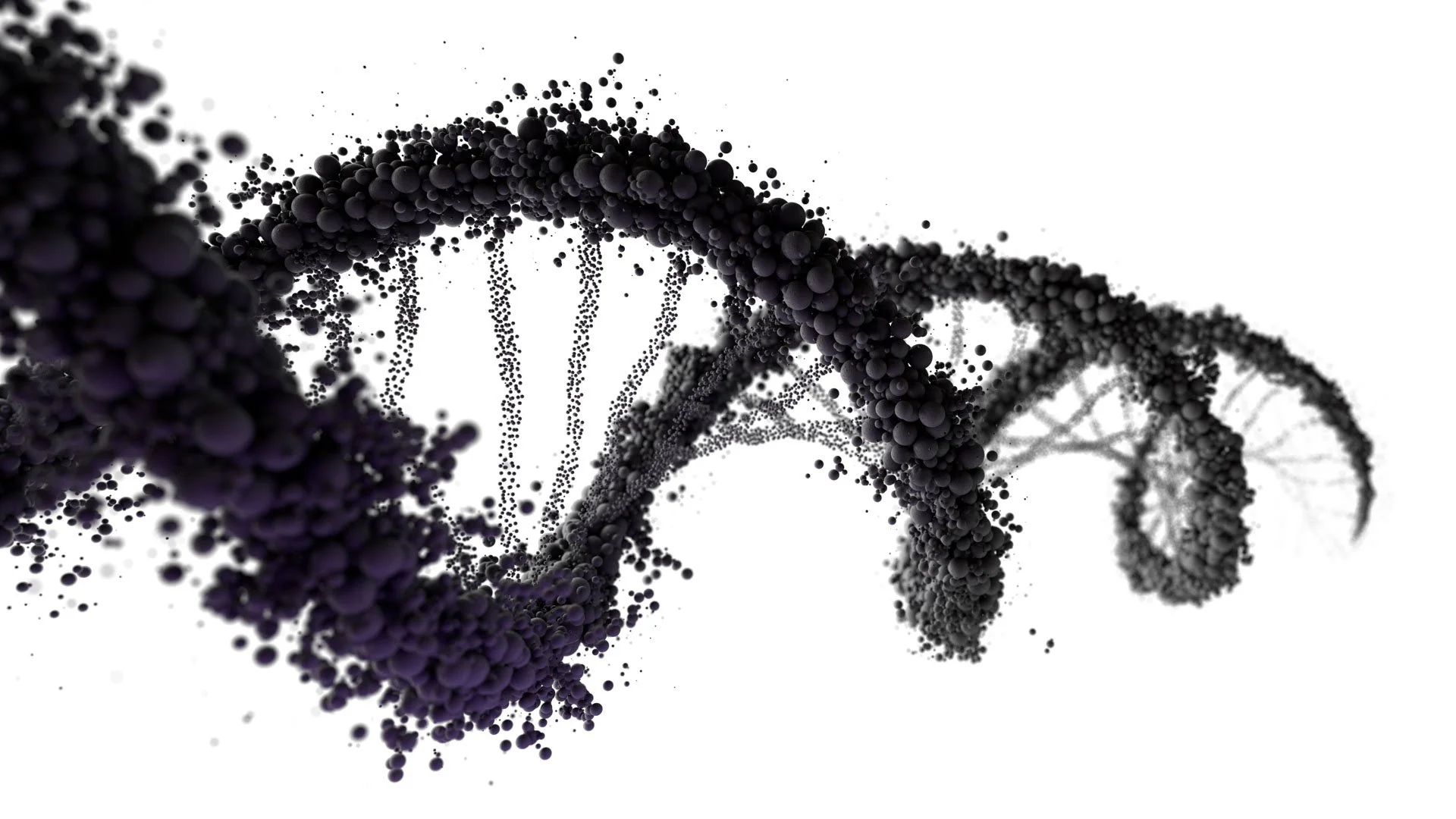 XP_DNA_3_4_0150.jpg