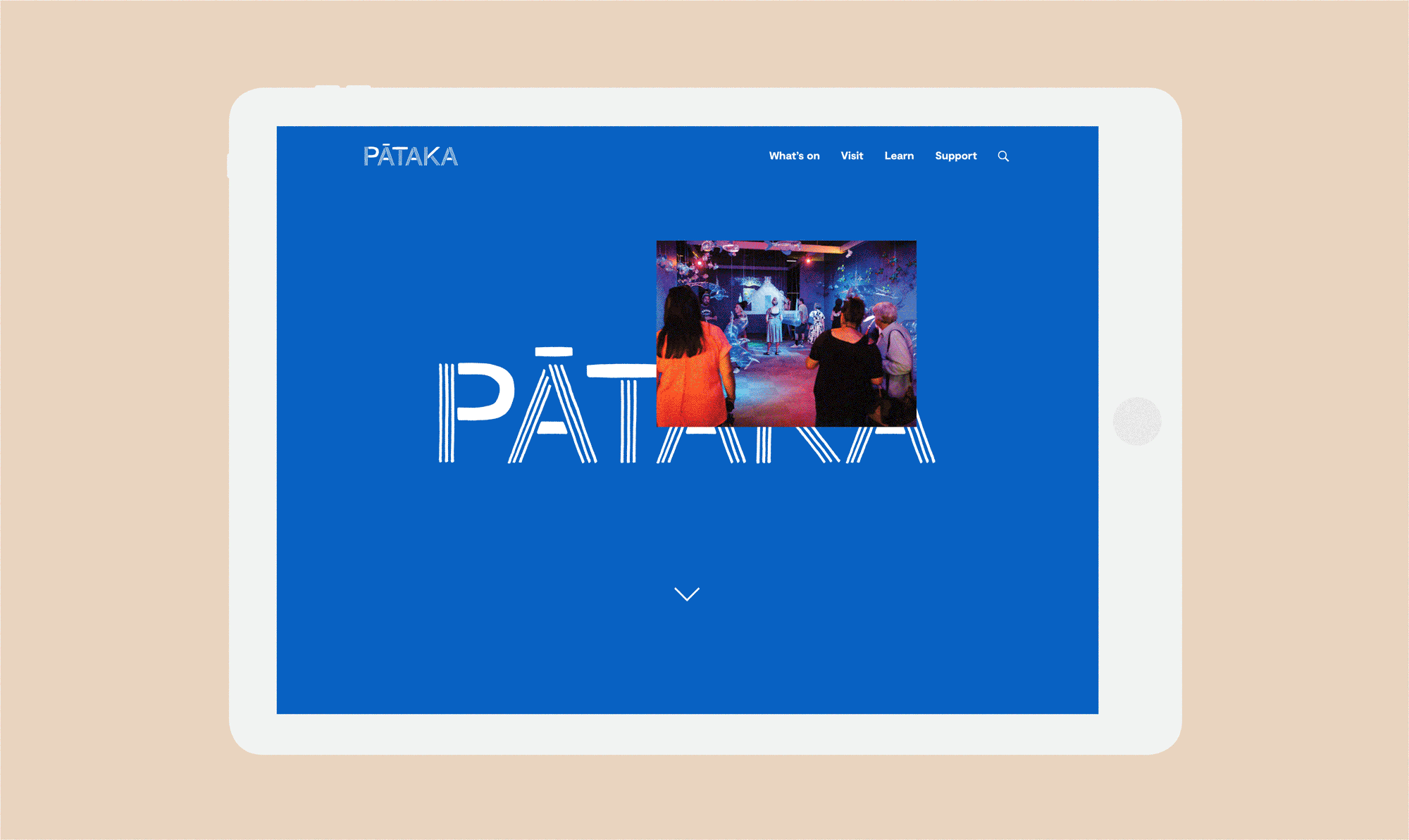 Pātaka is the cultural heart of Porirua. The website was designed on the concept that gallery is full of hidden treasures. Designed with Strategy Creative.