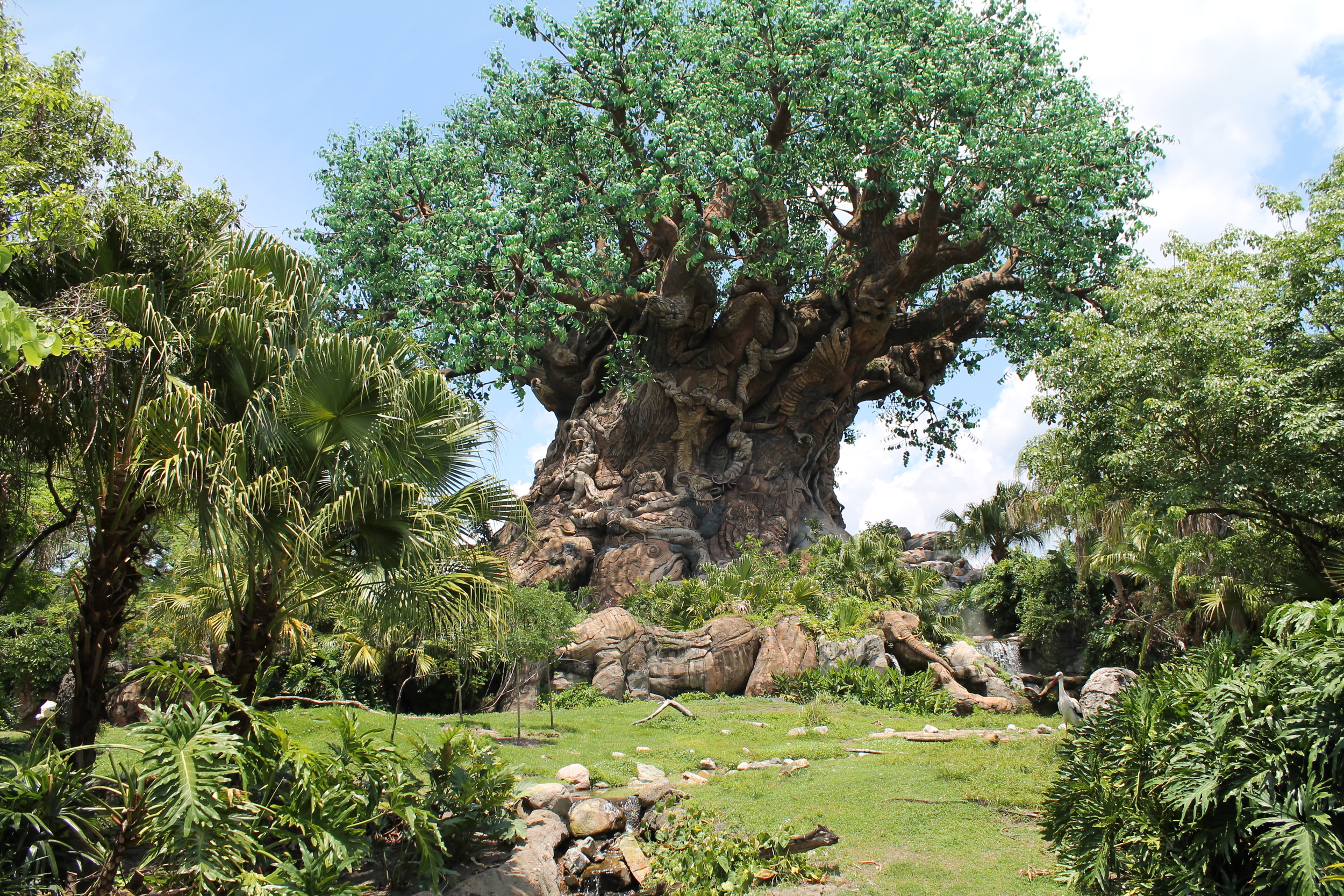 Disney World, Florida 2013