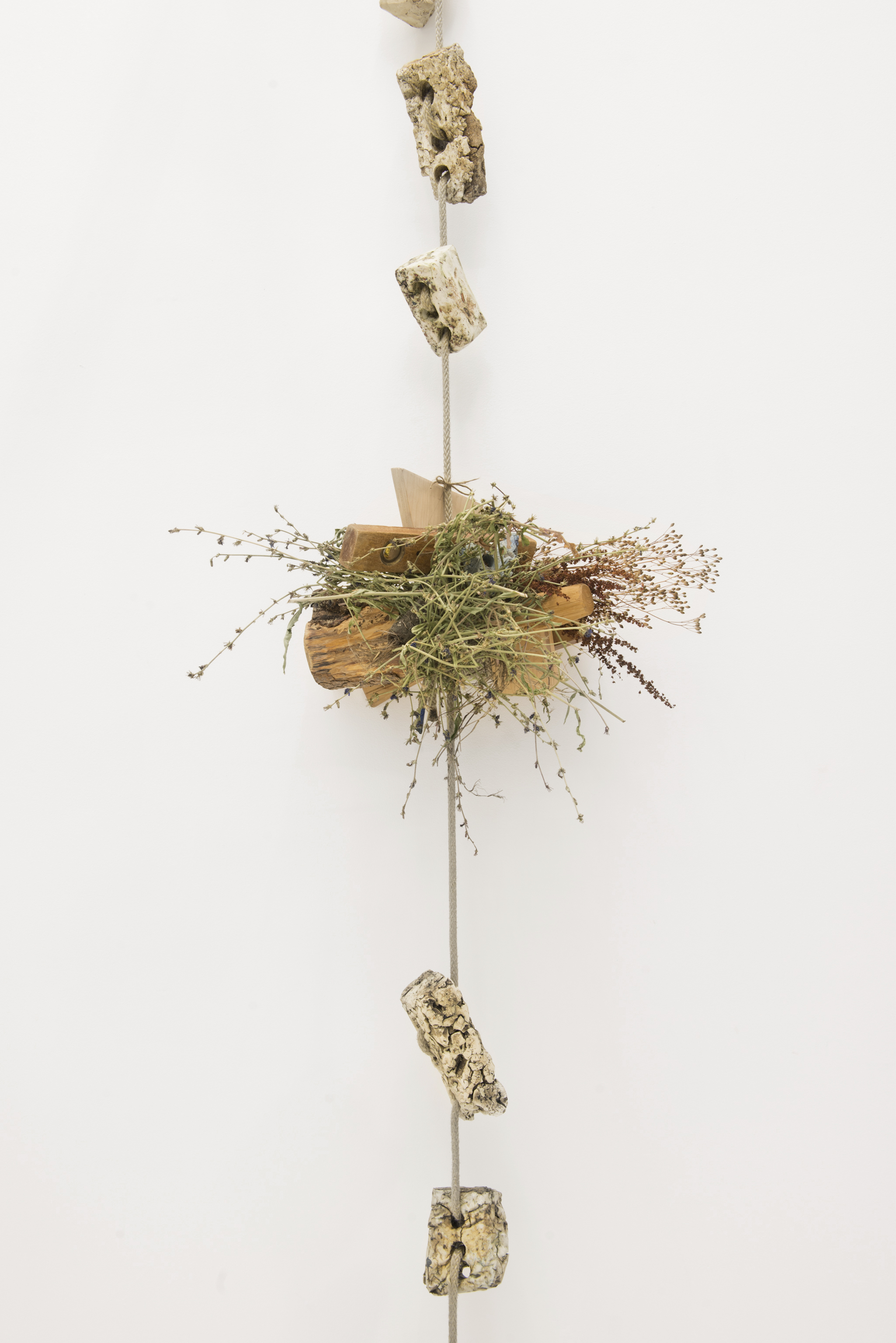 Hartwig - Klausing_1.jpg