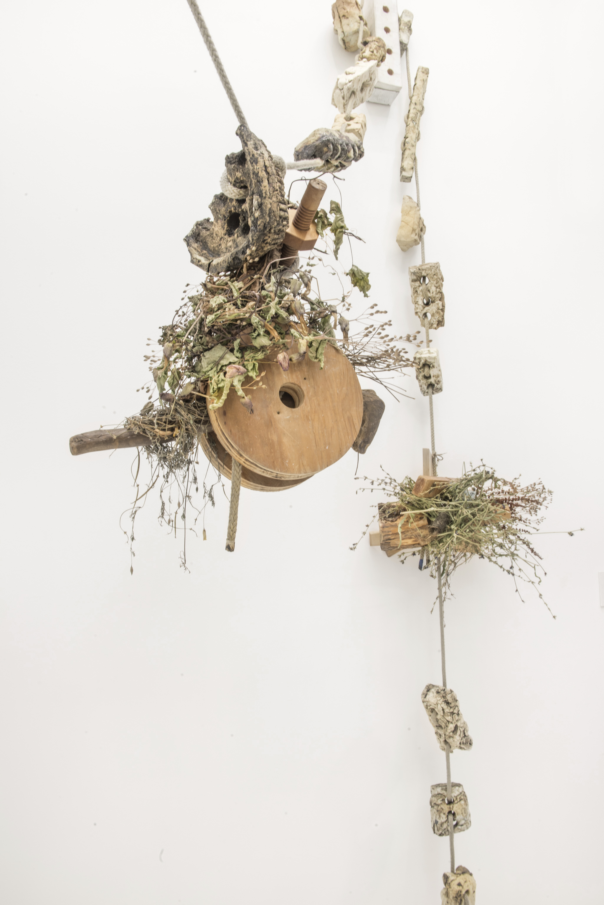 Hartwig - Klausing_5.jpg