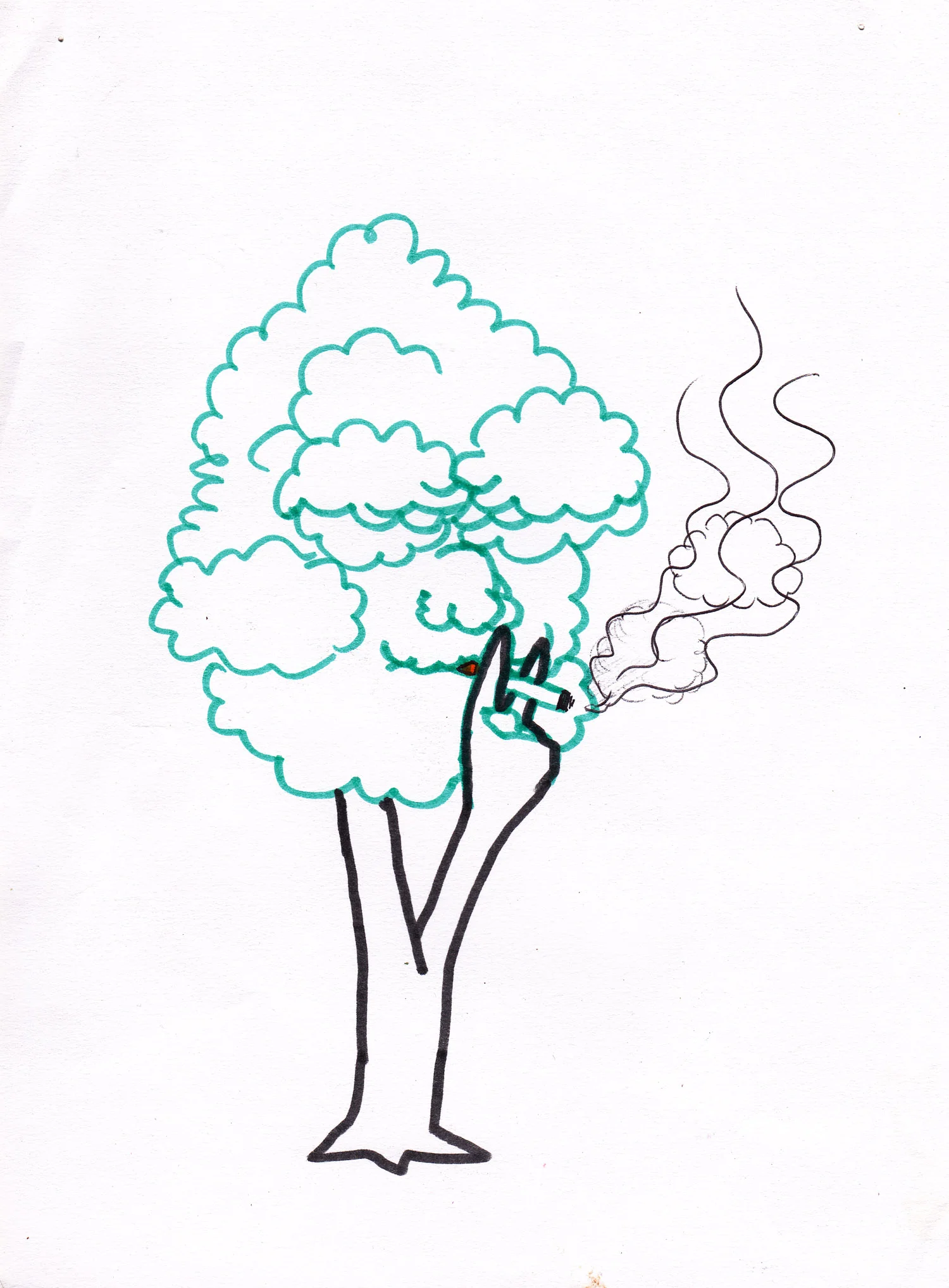 Mark_Feddes-paper-c1999-tree-cloud-smoke.jpg