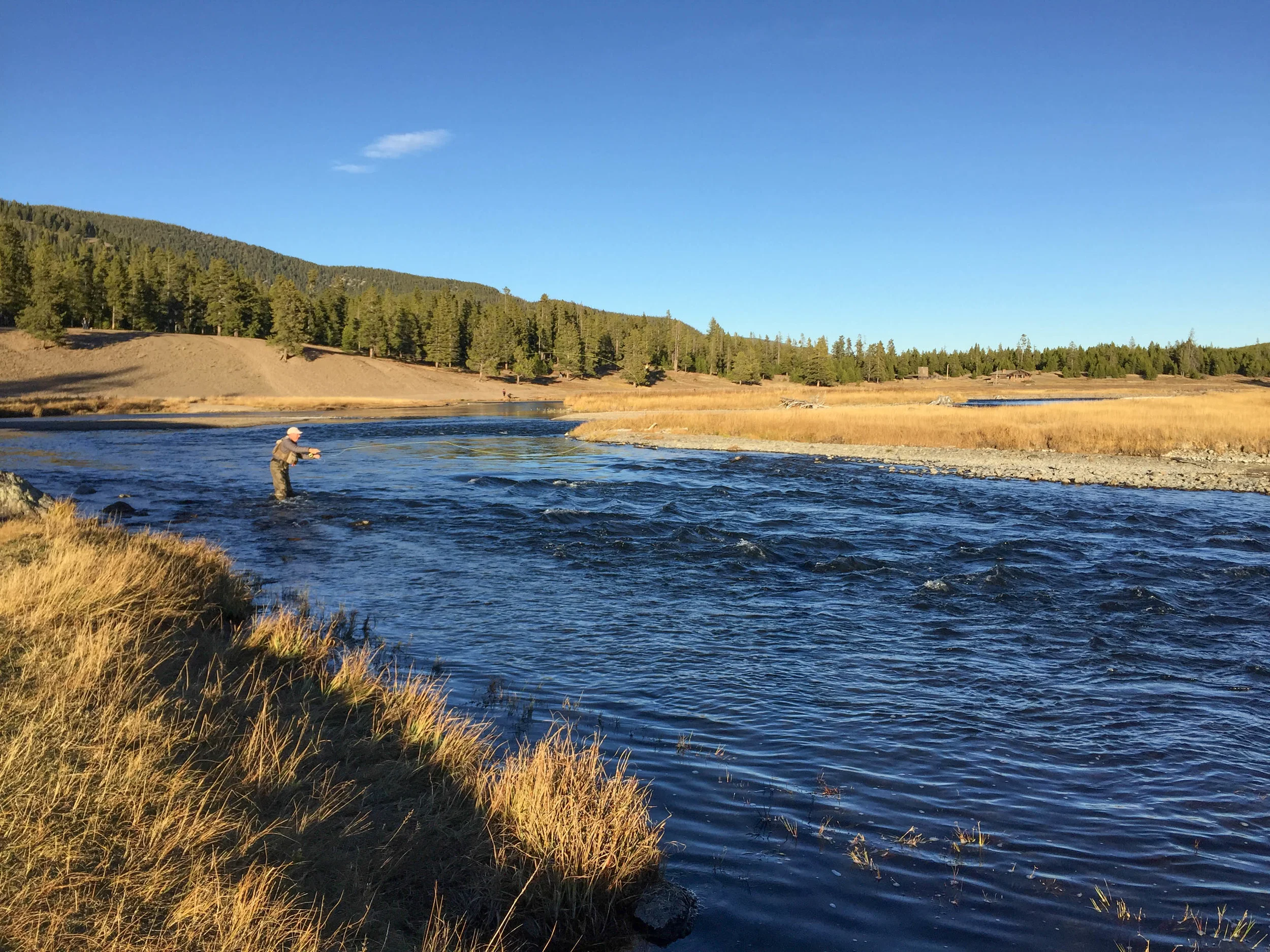 Yellowstone Natl Park