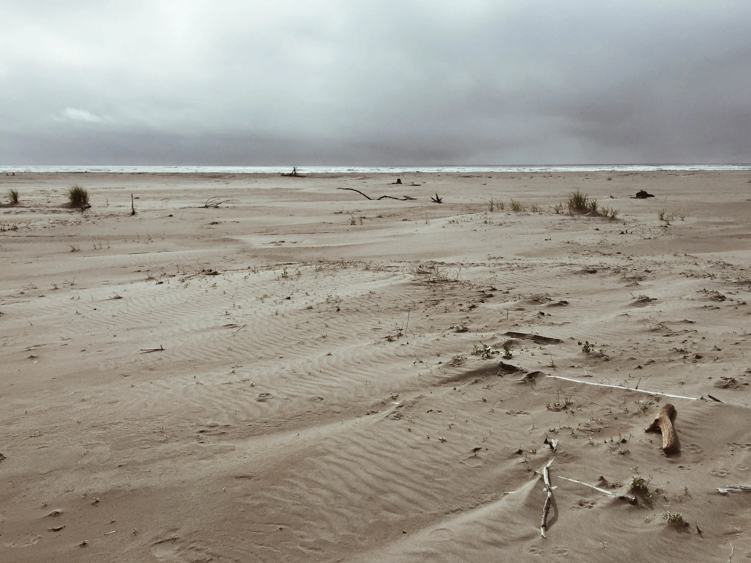 Grayland, WA